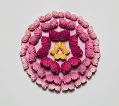 En fleurs (Zinnia rose)