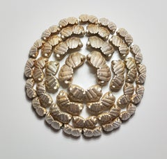Worship (White)