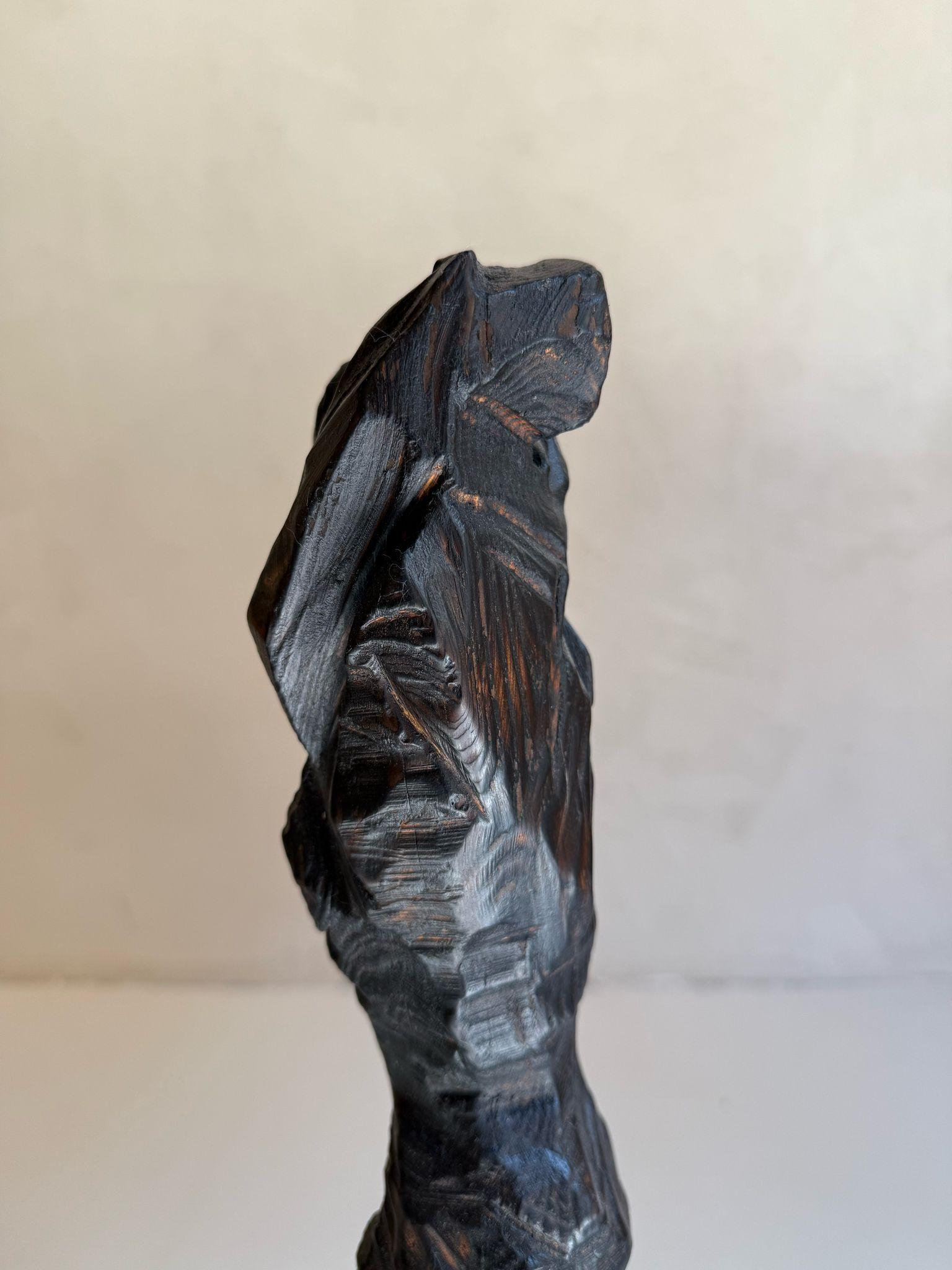 ABSTRACT Sculpture Wood Landscapes Noir Contemporain Jonathan Freemantle en vente 1