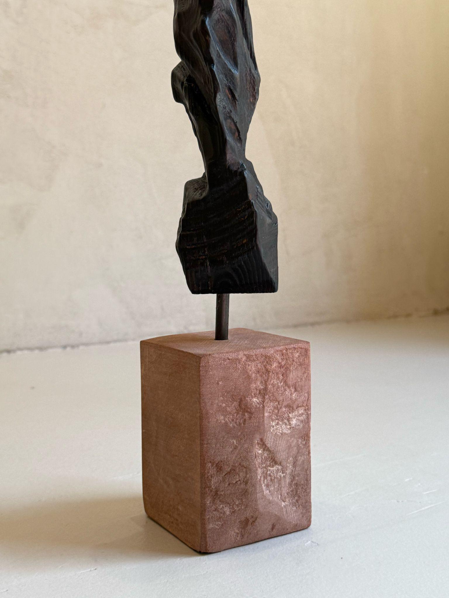 ABSTRACTO Escultura de madera Paisajes Negro Contemporáneo Jonathan Freemantle en venta 2