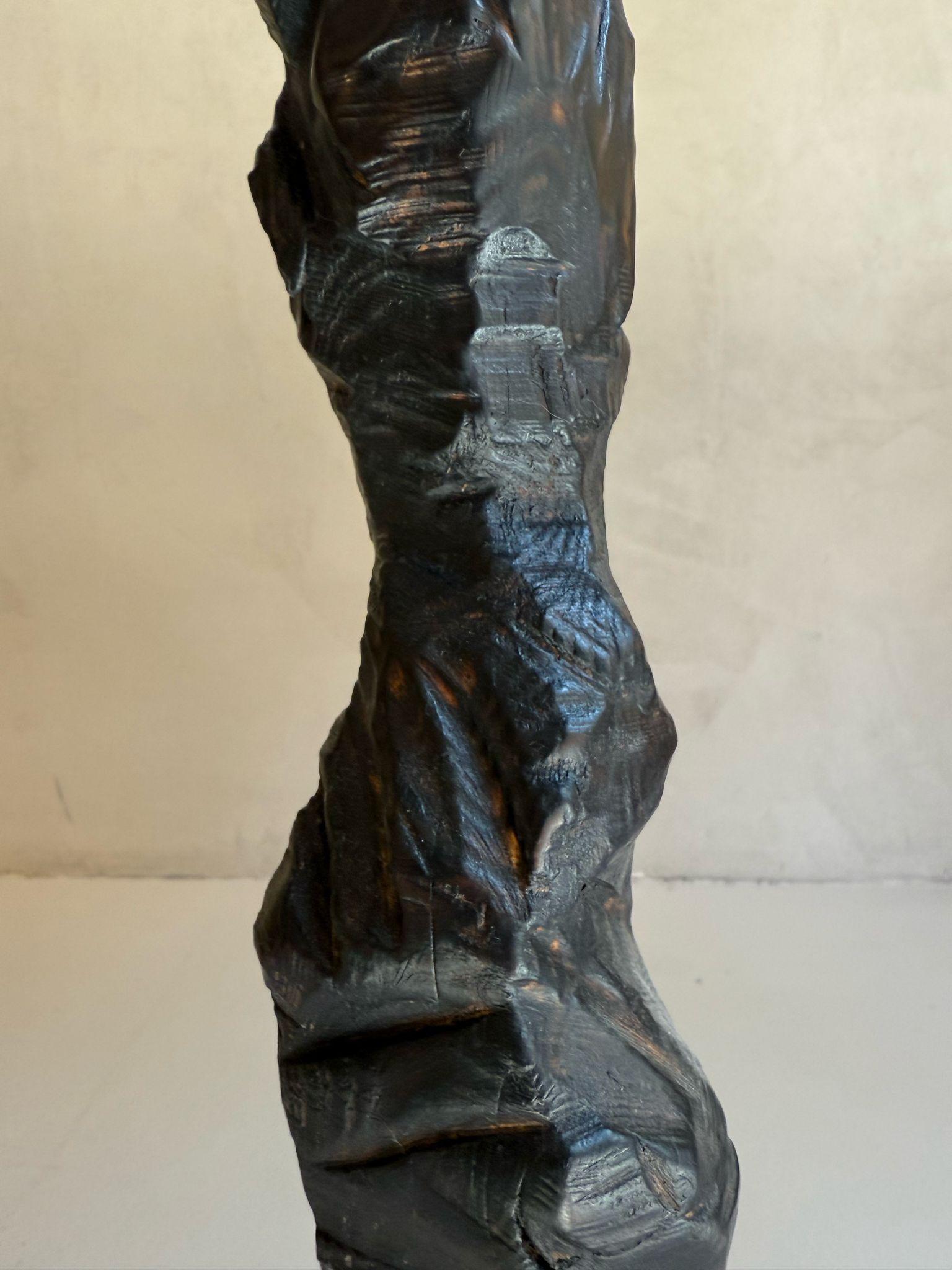 ABSTRACT Sculpture Wood Landscapes Noir Contemporain Jonathan Freemantle en vente 2