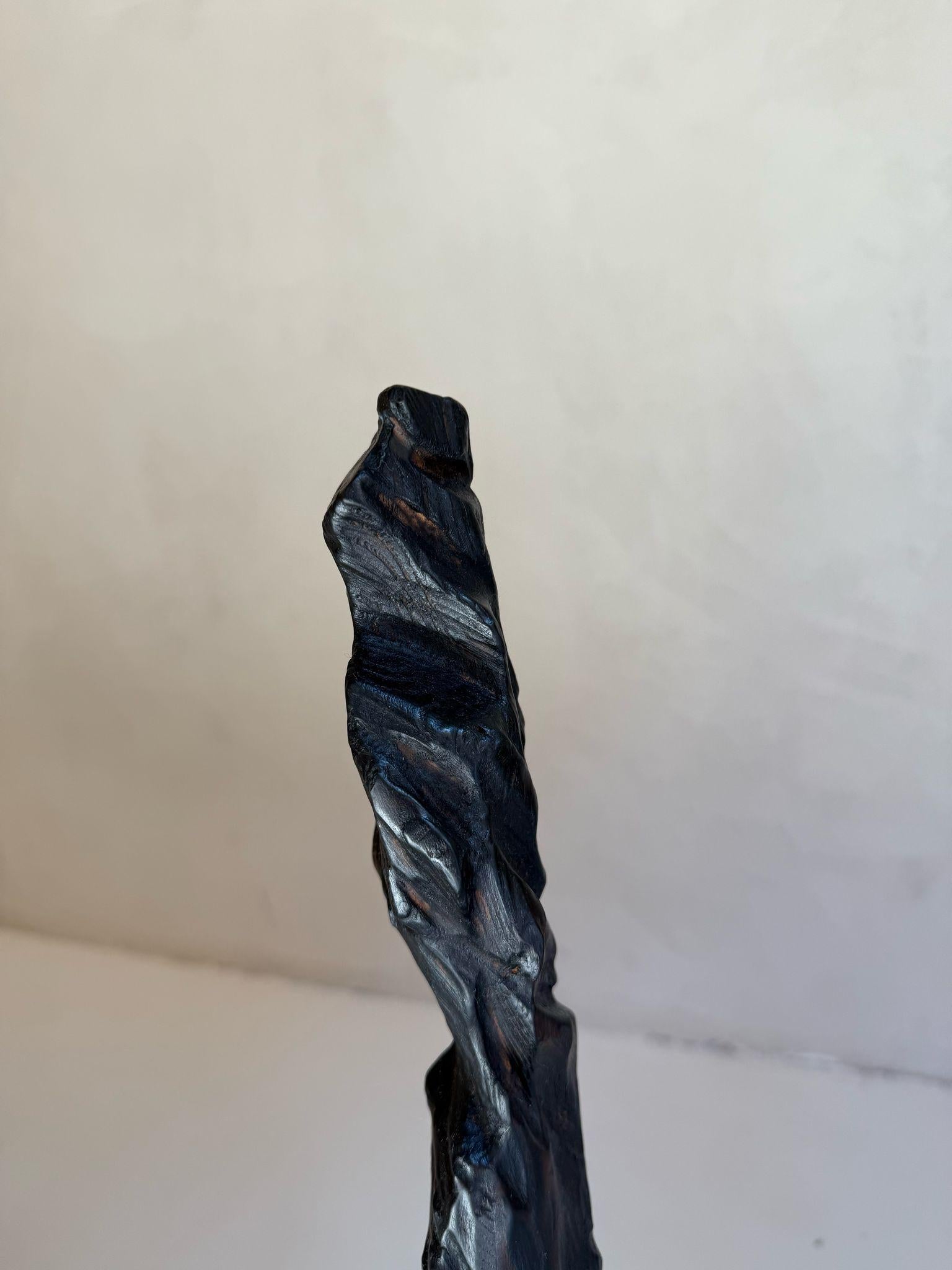 ABSTRACTO Escultura de madera Paisajes Negro Contemporáneo Jonathan Freemantle en venta 3