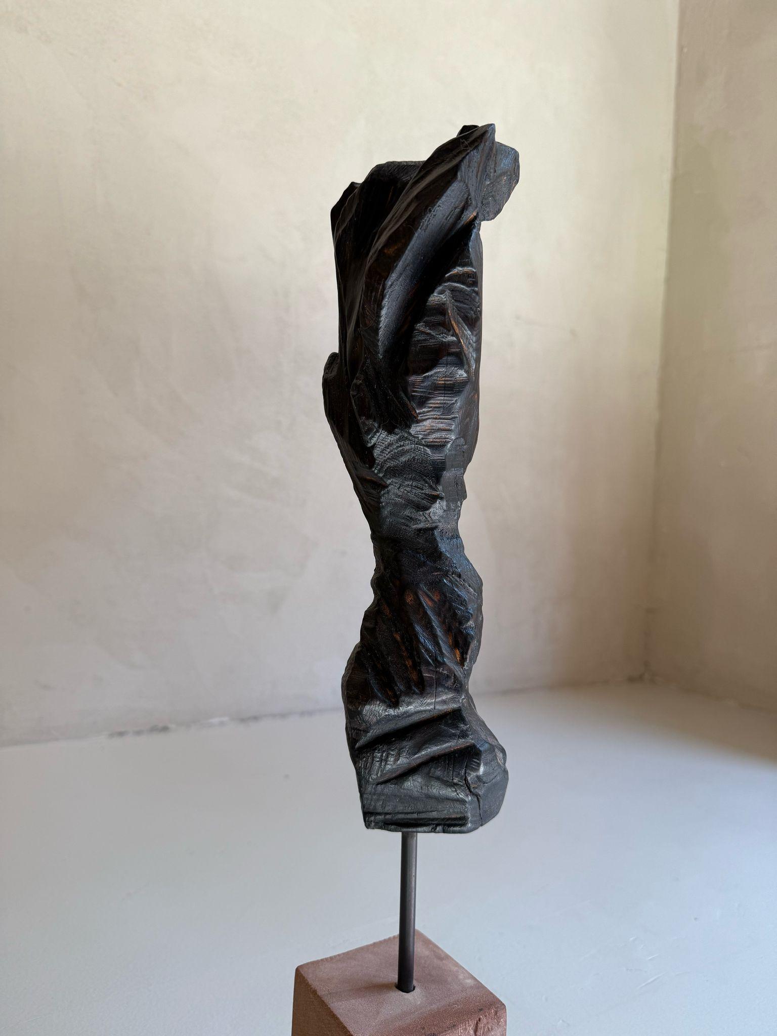 ABSTRACT Sculpture Wood Landscapes Noir Contemporain Jonathan Freemantle en vente 4