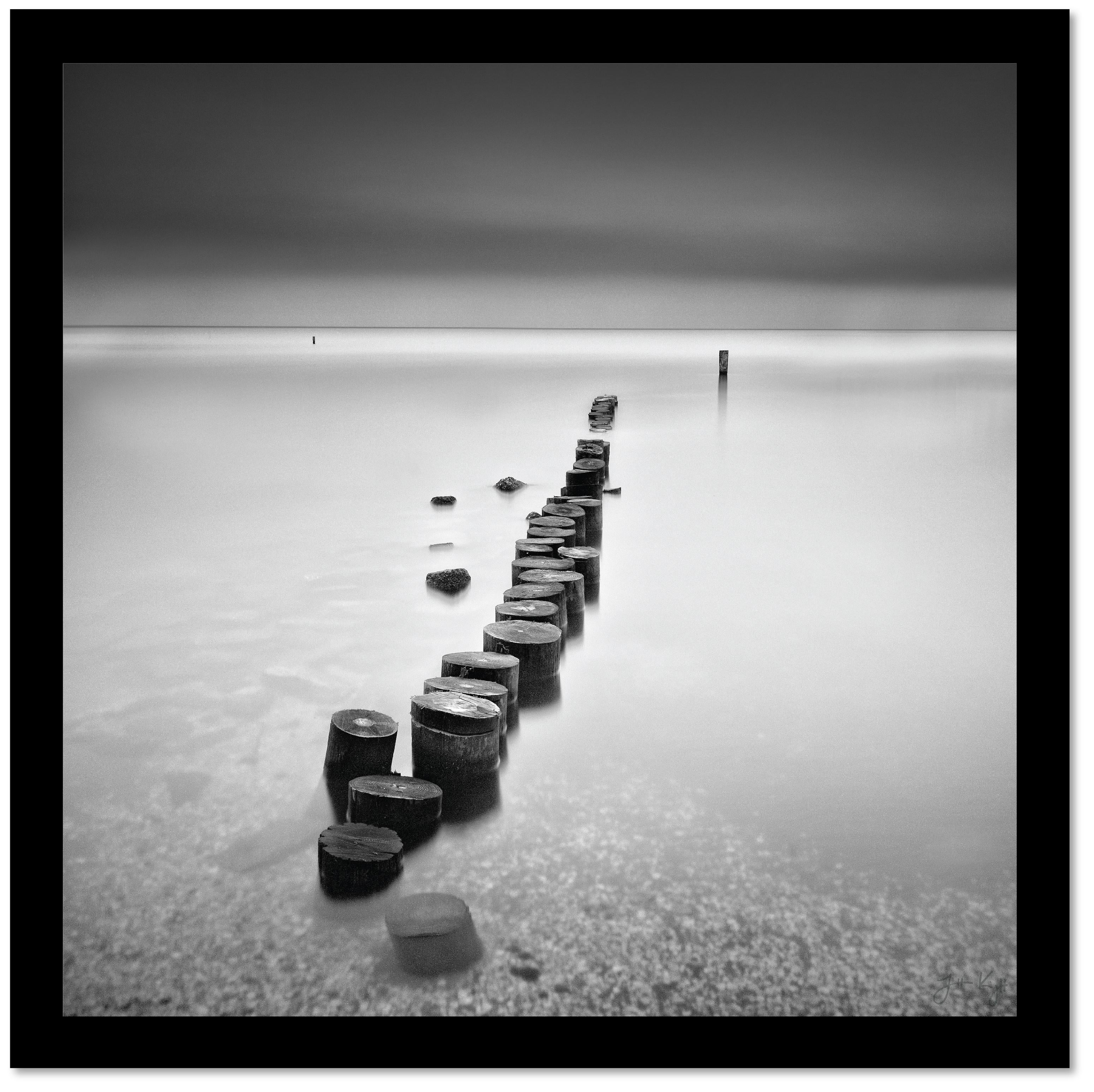 Wooden Stumps, New Orleans. Fine art black & white landscape photography print. - Photograph by Jonathan Knight