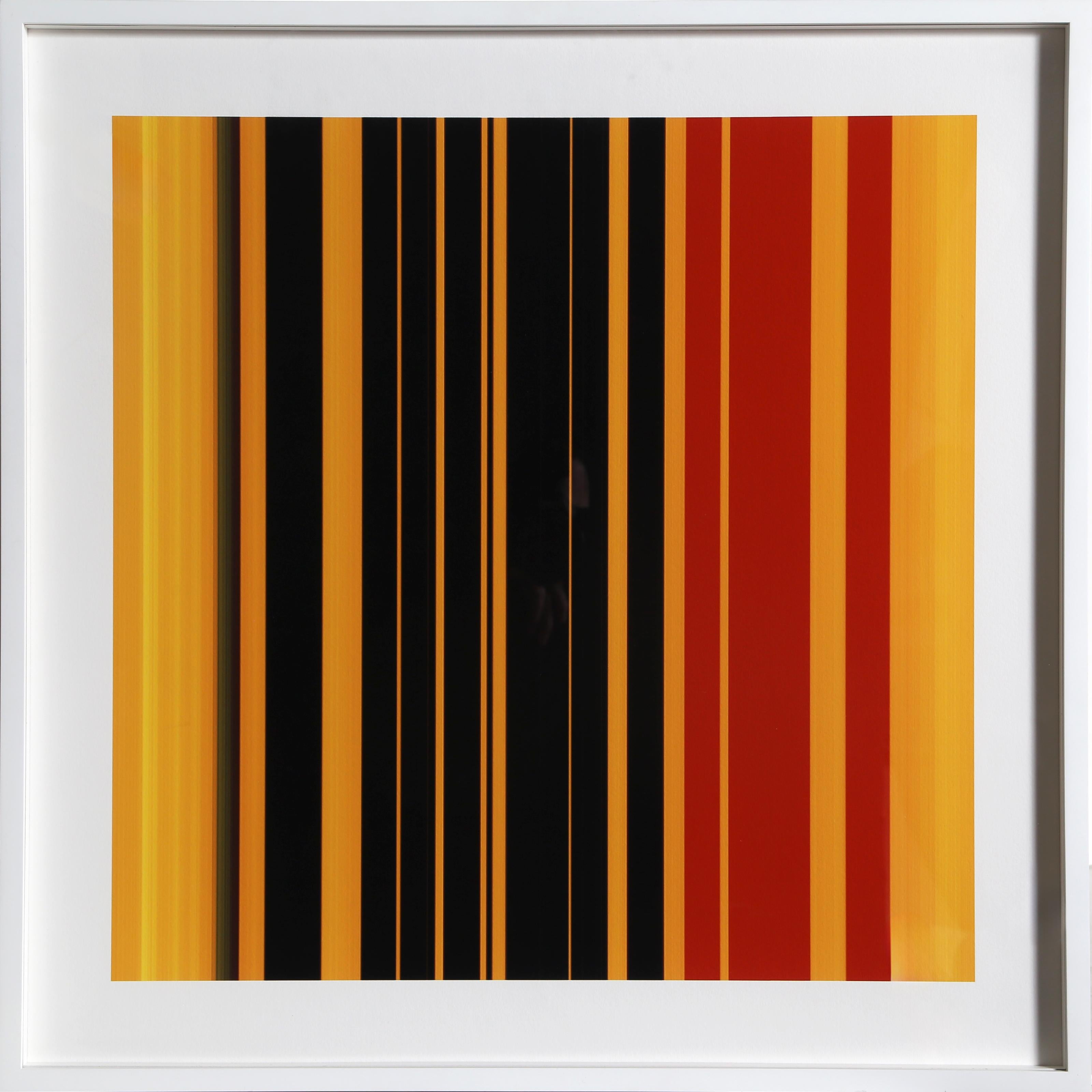 "See Candy was inspired by my immigration to the USA, when an unfamiliarity with American brands turned a simple trip to the grocery store into a voyage of discovery.

The color coded shapes and symbols that I had taken for granted in British