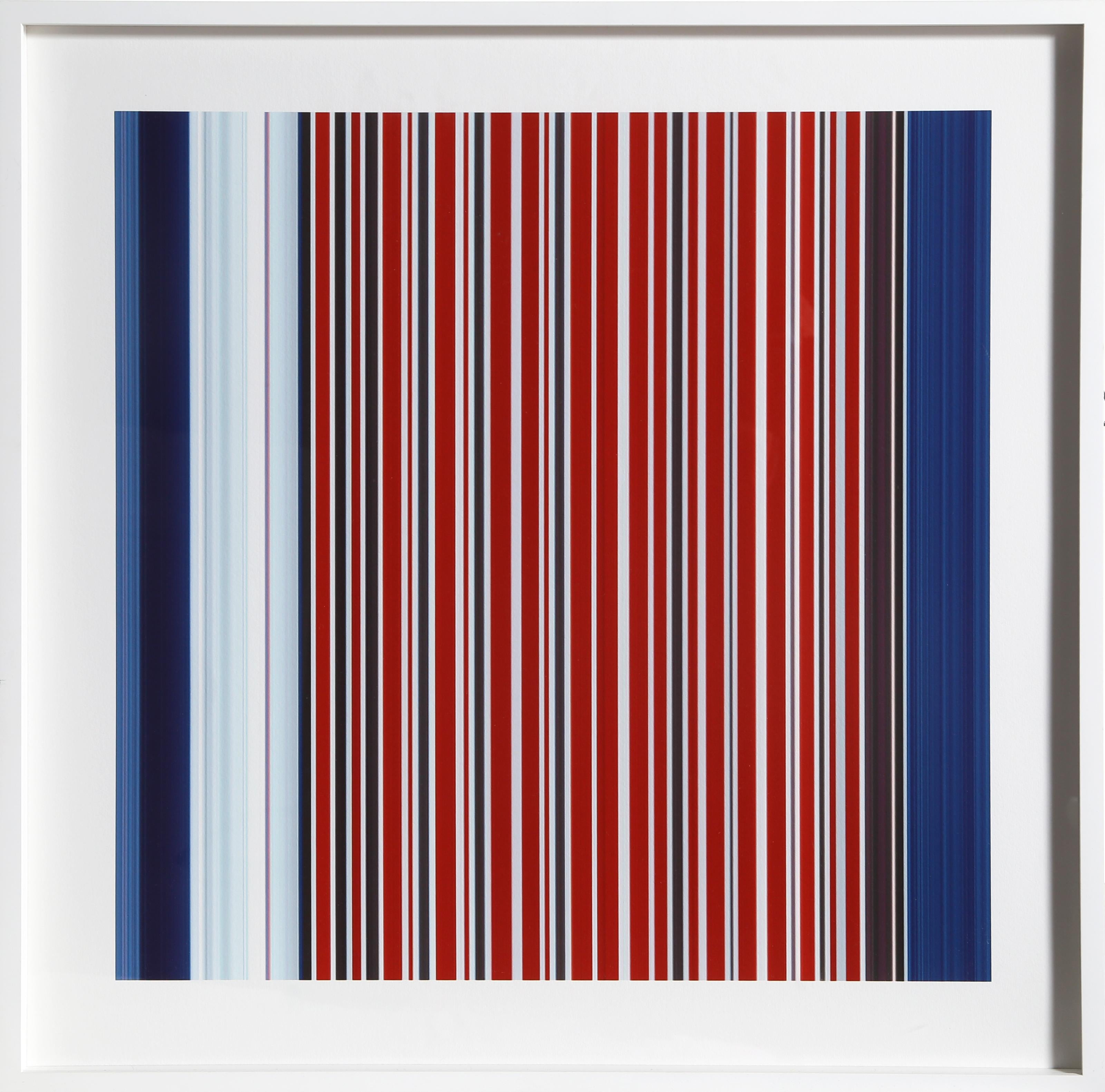 "See Candy was inspired by my immigration to the USA, when an unfamiliarity with American brands turned a simple trip to the grocery store into a voyage of discovery.

The color coded shapes and symbols that I had taken for granted in British