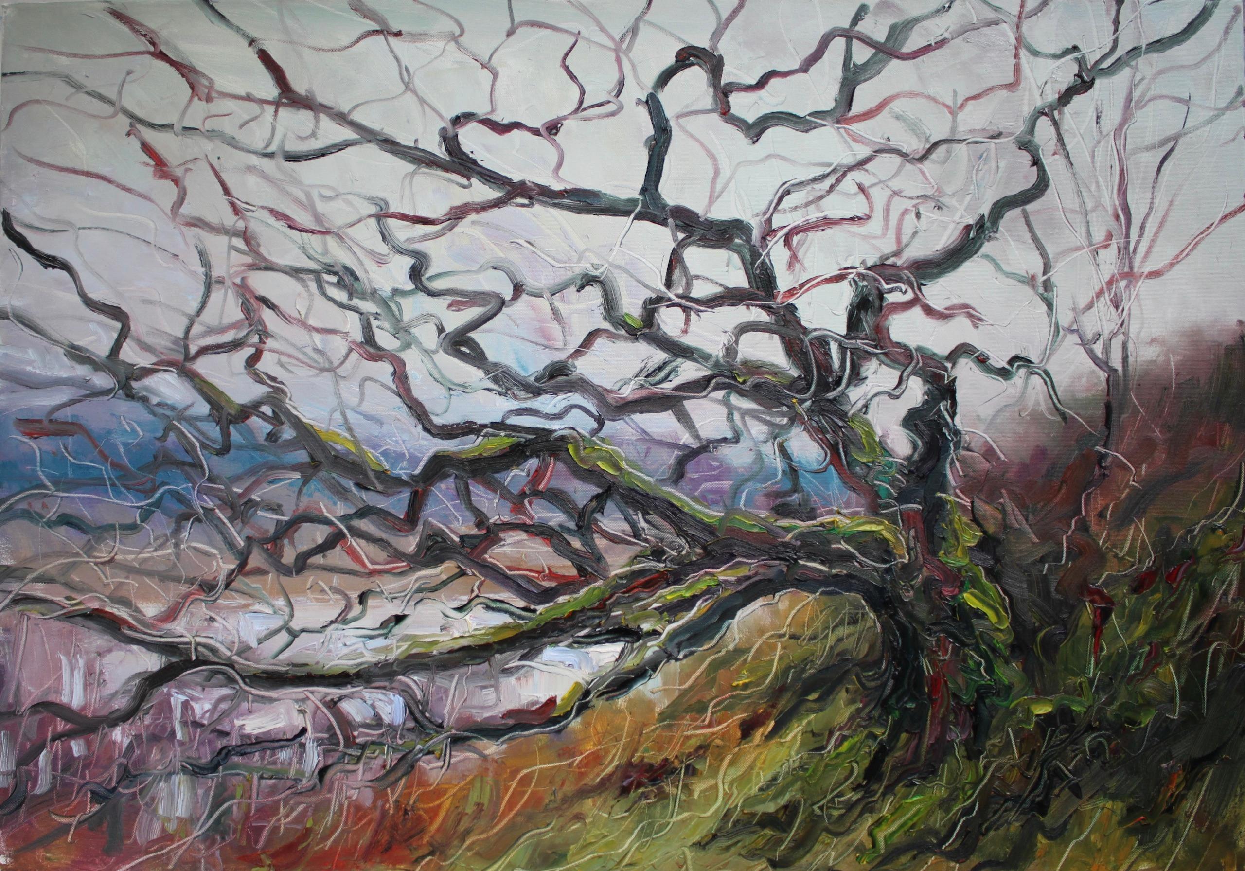 Atlantic Oak Loch Arienas by Jonathan Shearer - Landscape oil painting, tree
