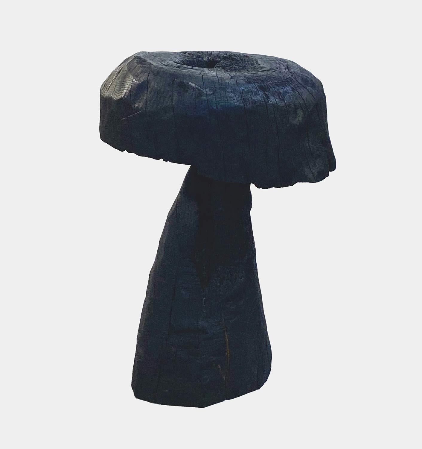 Jonathan Shlafer Abstract Sculpture - Mushroom #3, Amagansett, NY, 2021