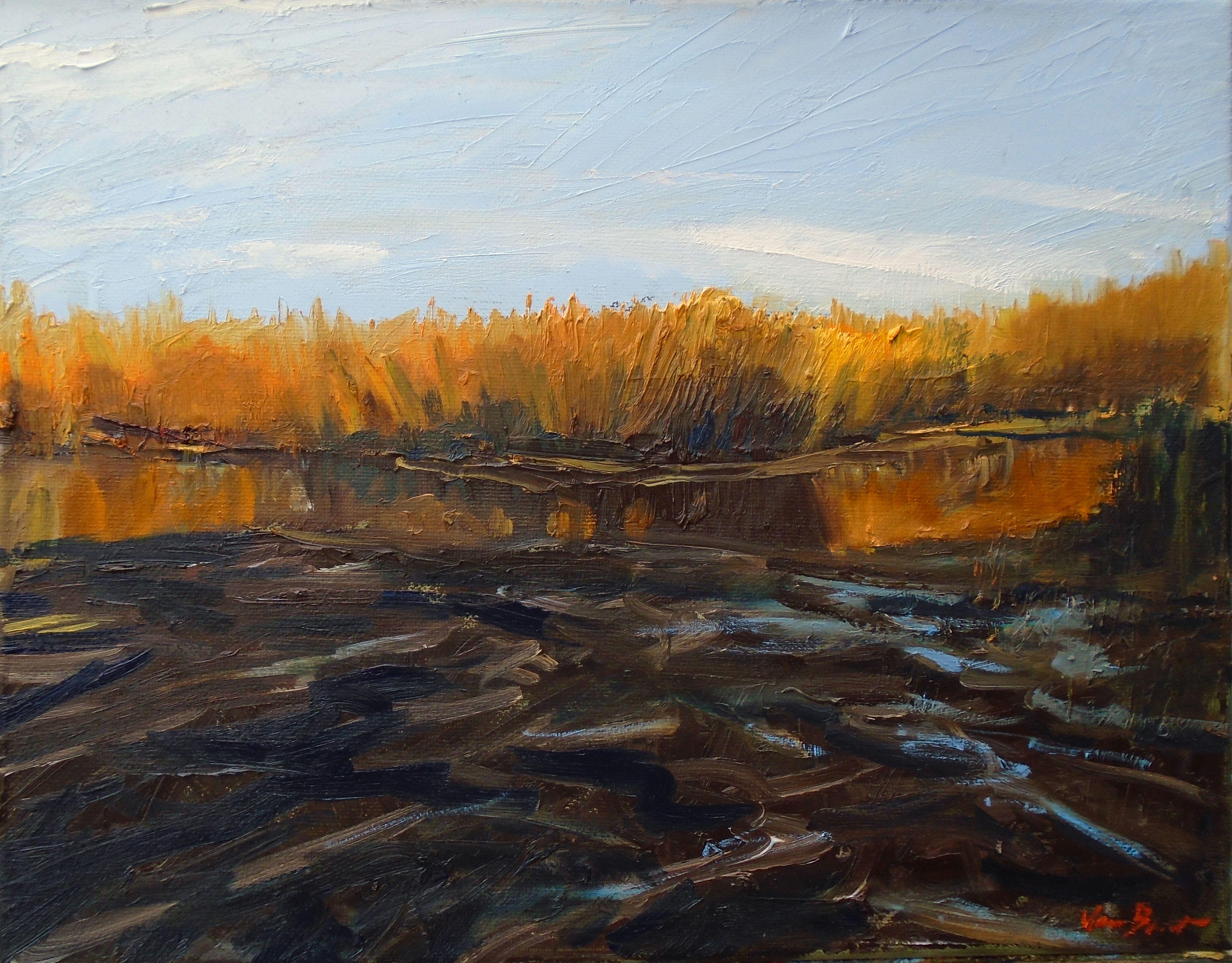 A painting done in January at Wertheim National Wildlife Refuge in Eastern Long Island. Using mostly a palette knife,  I wanted to capture the late day effect on the sun on the orange marsh grass and show the contrast between the stiff grasses and