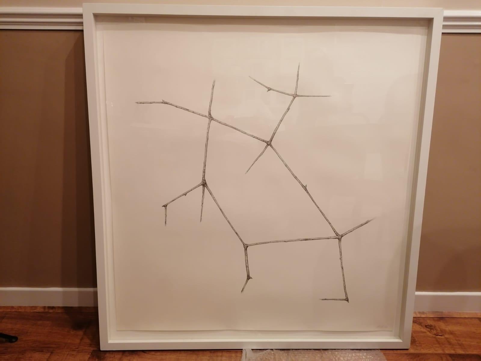 Jonathan Zawada Large Graphite Drawing, Mannose-is-mannose-is mannose (2010), Museum-Framed Contemporary Minimalist Art

A rare, large-scale original graphite drawing by acclaimed contemporary artist and designer Jonathan Zawada. Titled