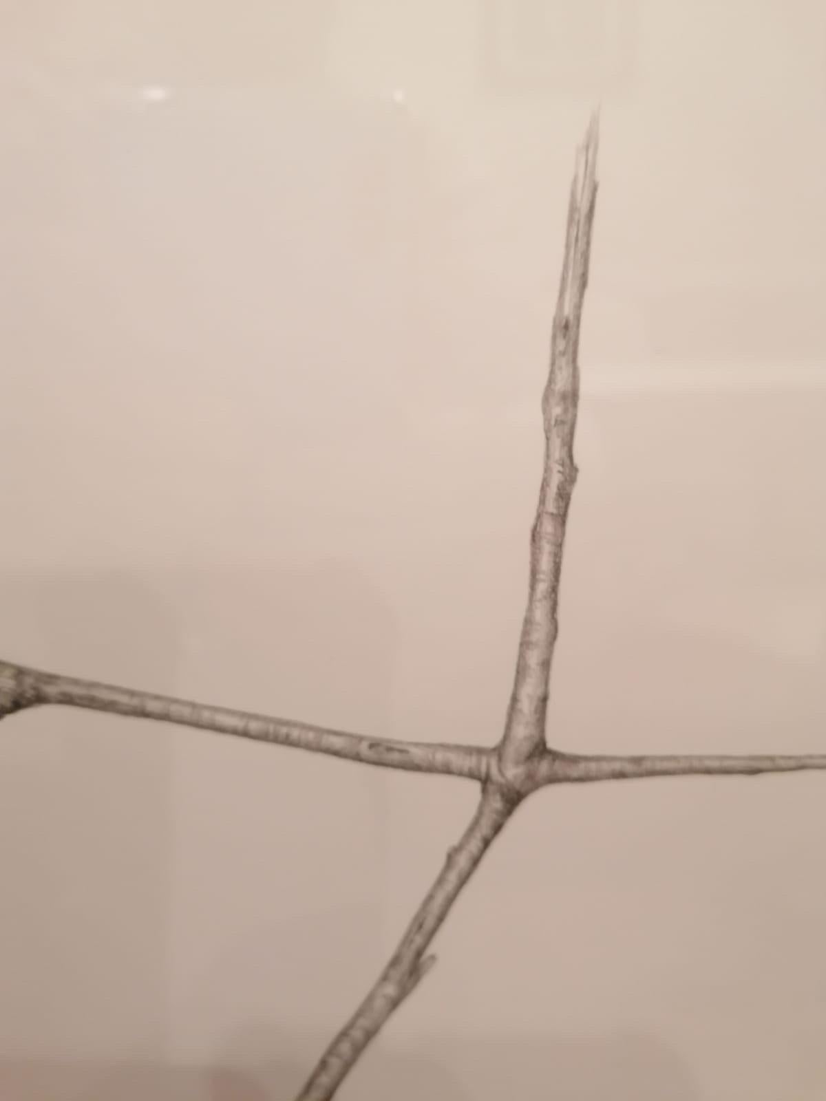 Minimalist Jonathan Zawada b.1981 Graphite Drawing, Mannose-is-mannose-is mannose 2010 For Sale