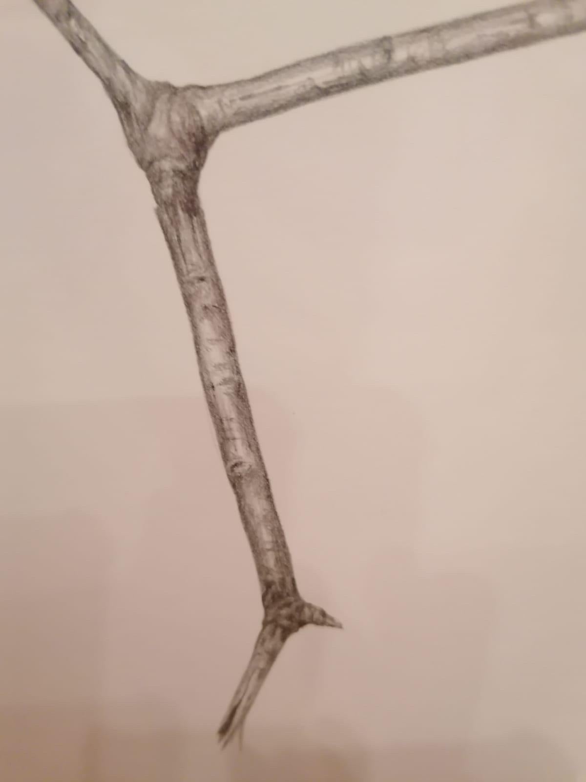 Hand-Crafted Jonathan Zawada b.1981 Graphite Drawing, Mannose-is-mannose-is mannose 2010 For Sale