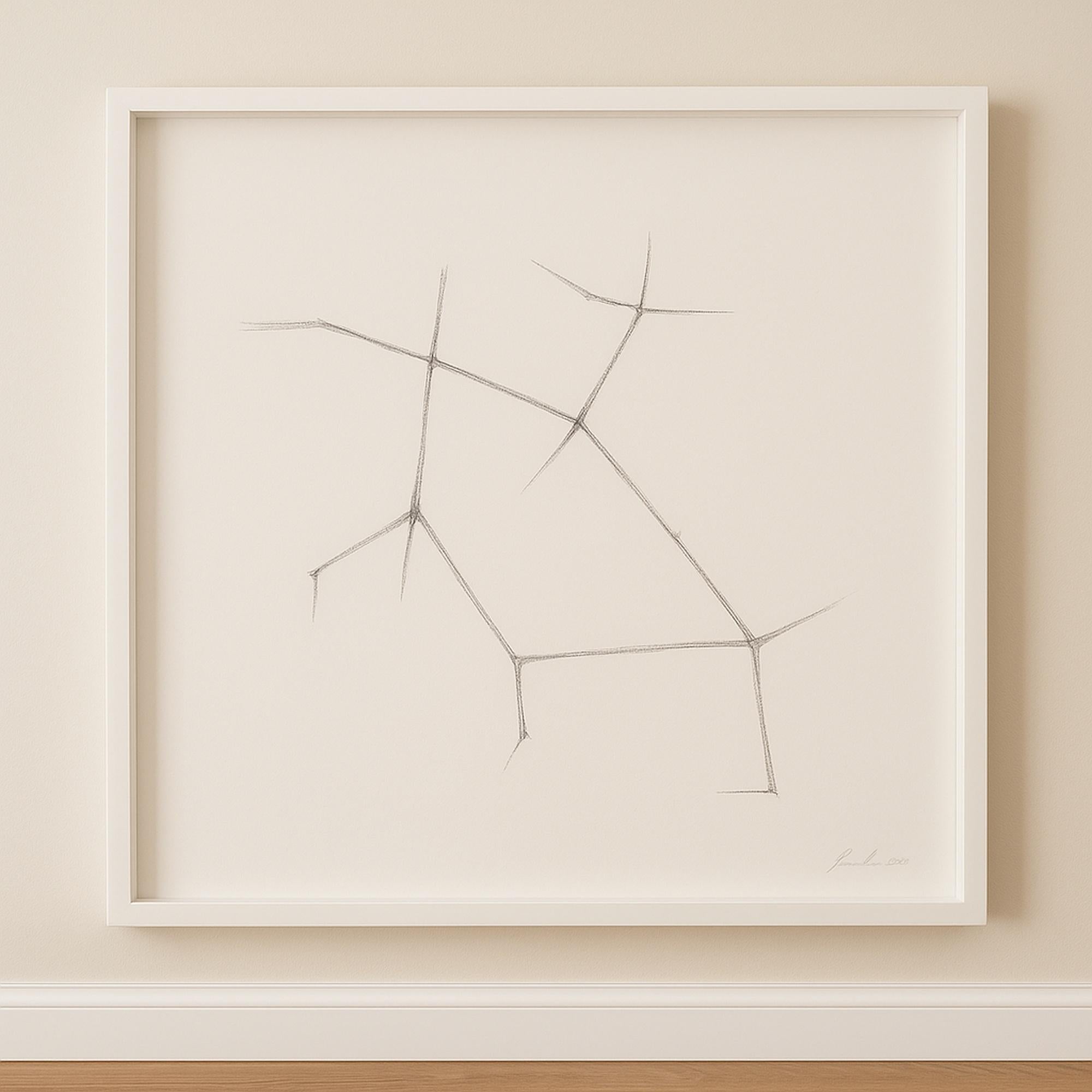 Jonathan Zawada b.1981 Graphite Drawing, Mannose-is-mannose-is mannose 2010 In Good Condition For Sale In West Palm Beach, US