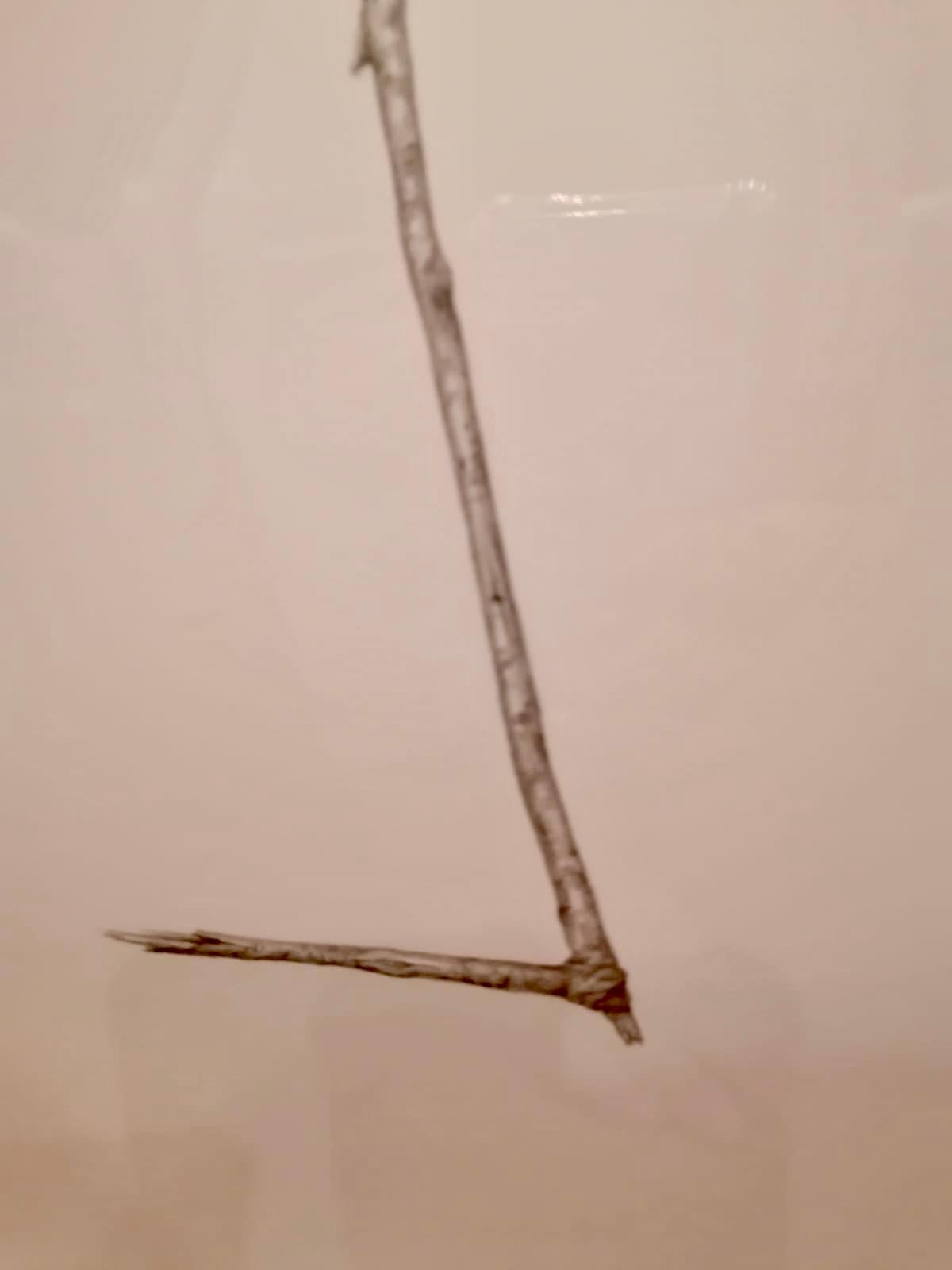 Paper Jonathan Zawada b.1981 Graphite Drawing, Mannose-is-mannose-is mannose 2010 For Sale