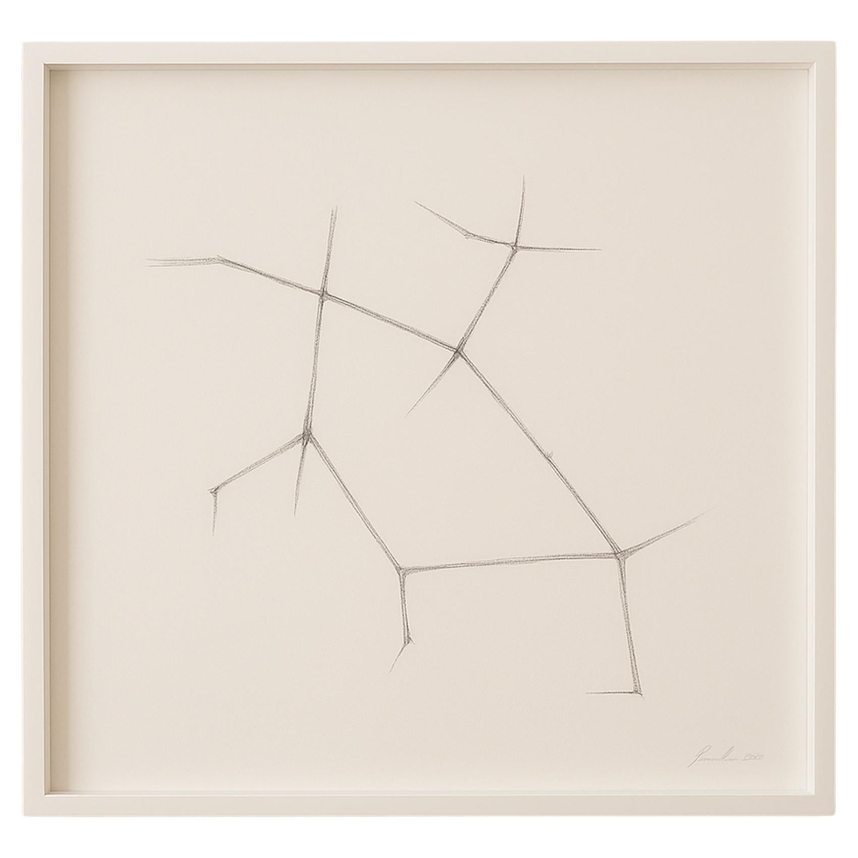 Jonathan Zawada b.1981 Graphite Drawing, Mannose-is-mannose-is mannose 2010 For Sale