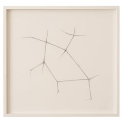 Jonathan Zawada b.1981 Disegno in grafite, Mannosio-è-mannosio-è-mannosio 2010