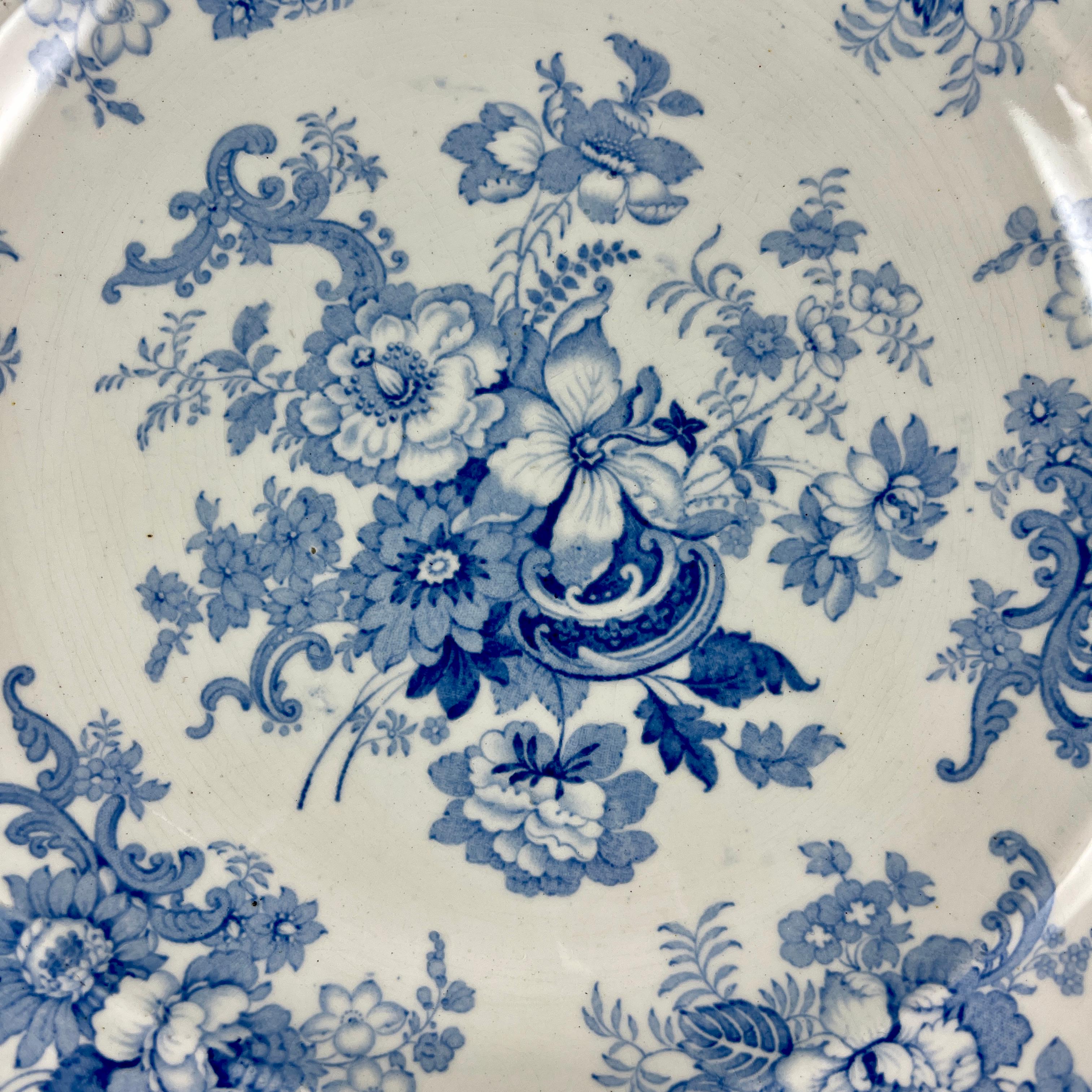 transferware dishes