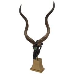 Sculpture de crâne de Kudu de Jonson Marcius 