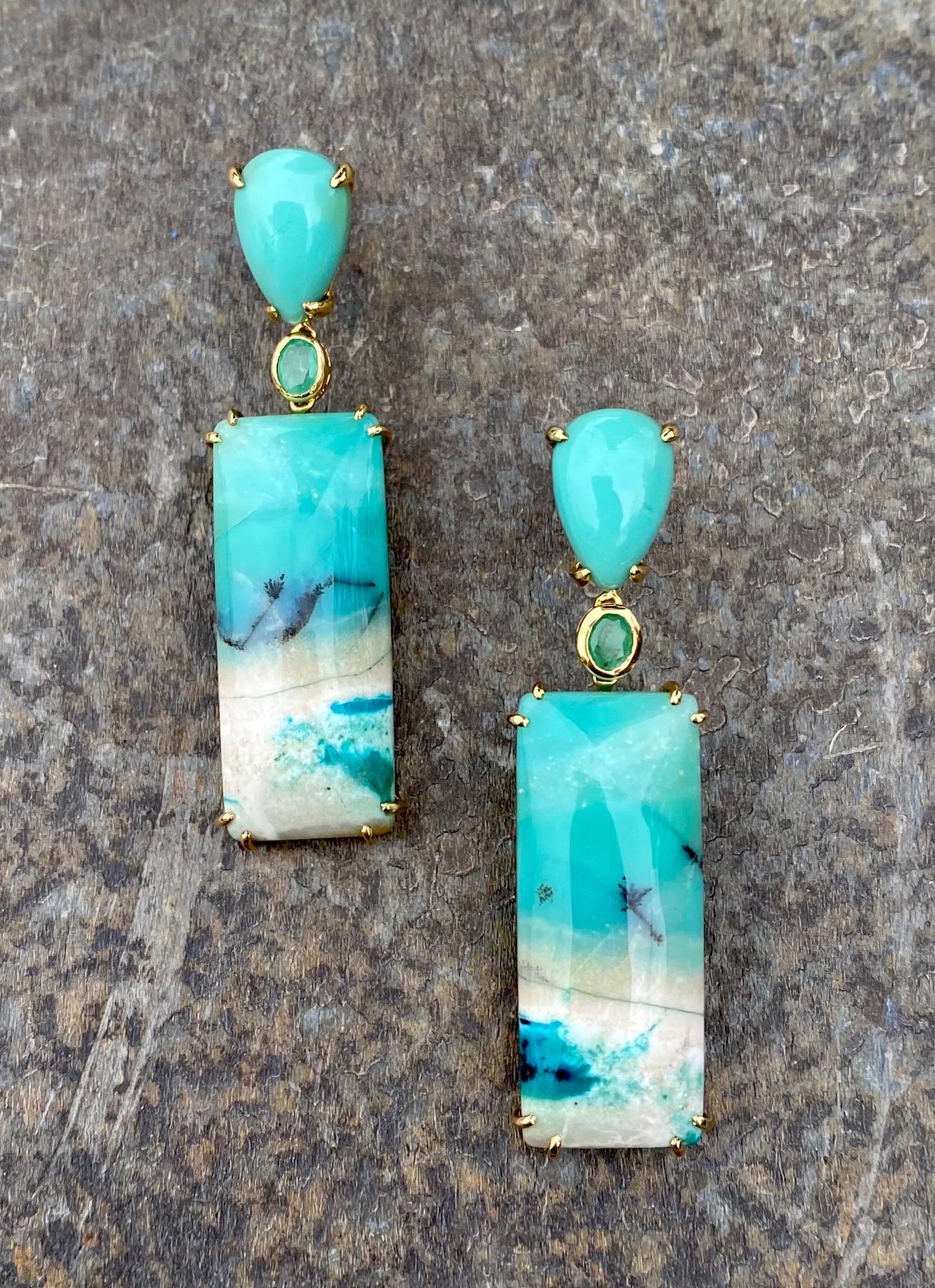 what is opalized petrified wood