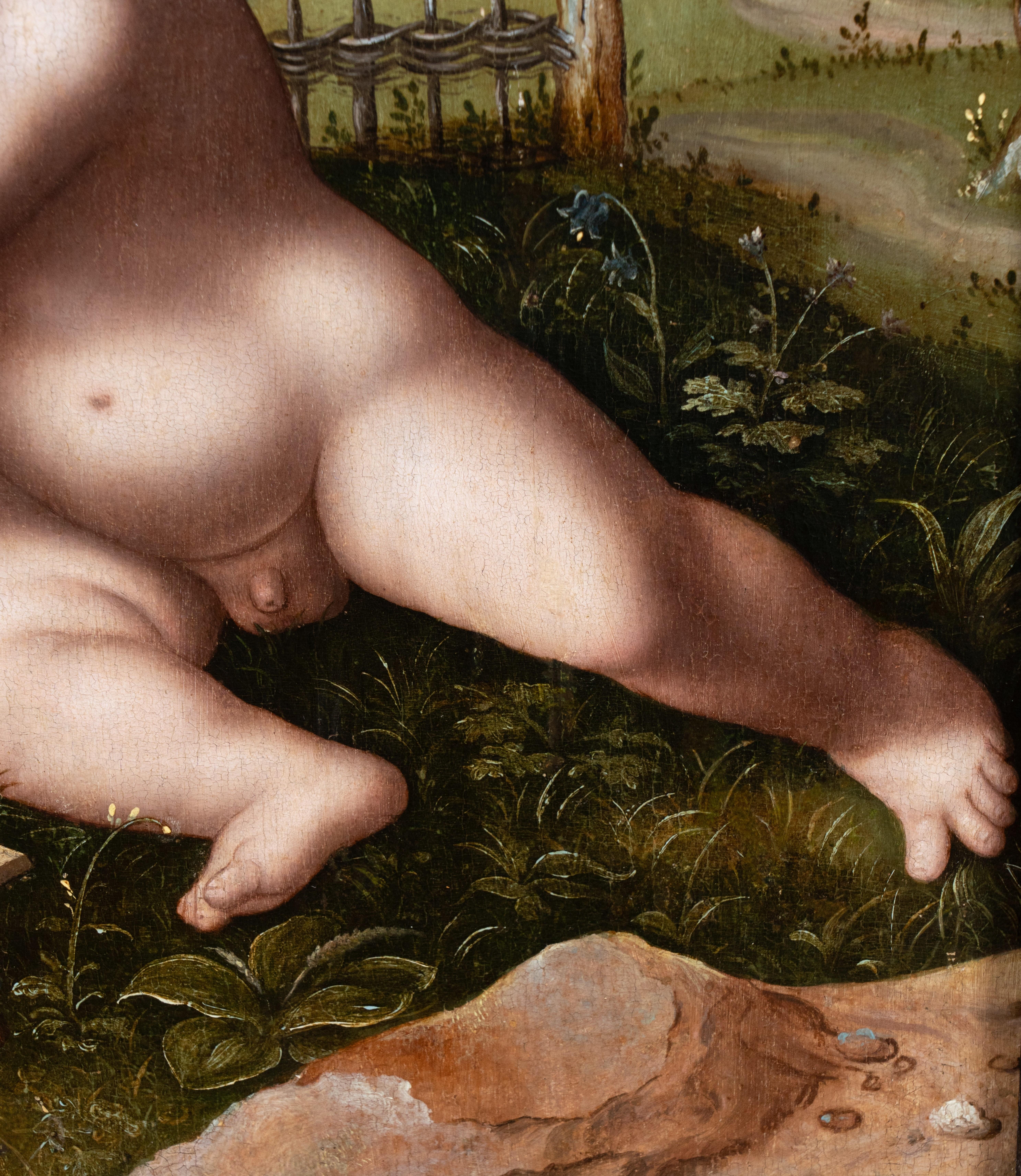Le Christ et saint Jean-Baptiste s'embrassent
Studio de Joos van Cleve (1485 - 1541), Anvers
Première moitié du XVIe siècle
Huile sur panneau de chêne, h. 55 cm, l. 43 cm
Cadre en bois ébonisé du 17e siècle
Encadré : h. 100 cm, l. 83 cm

Provenance