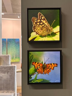 Aurelia picada - Joran van der Haar, Pintura contemporánea del siglo XXI