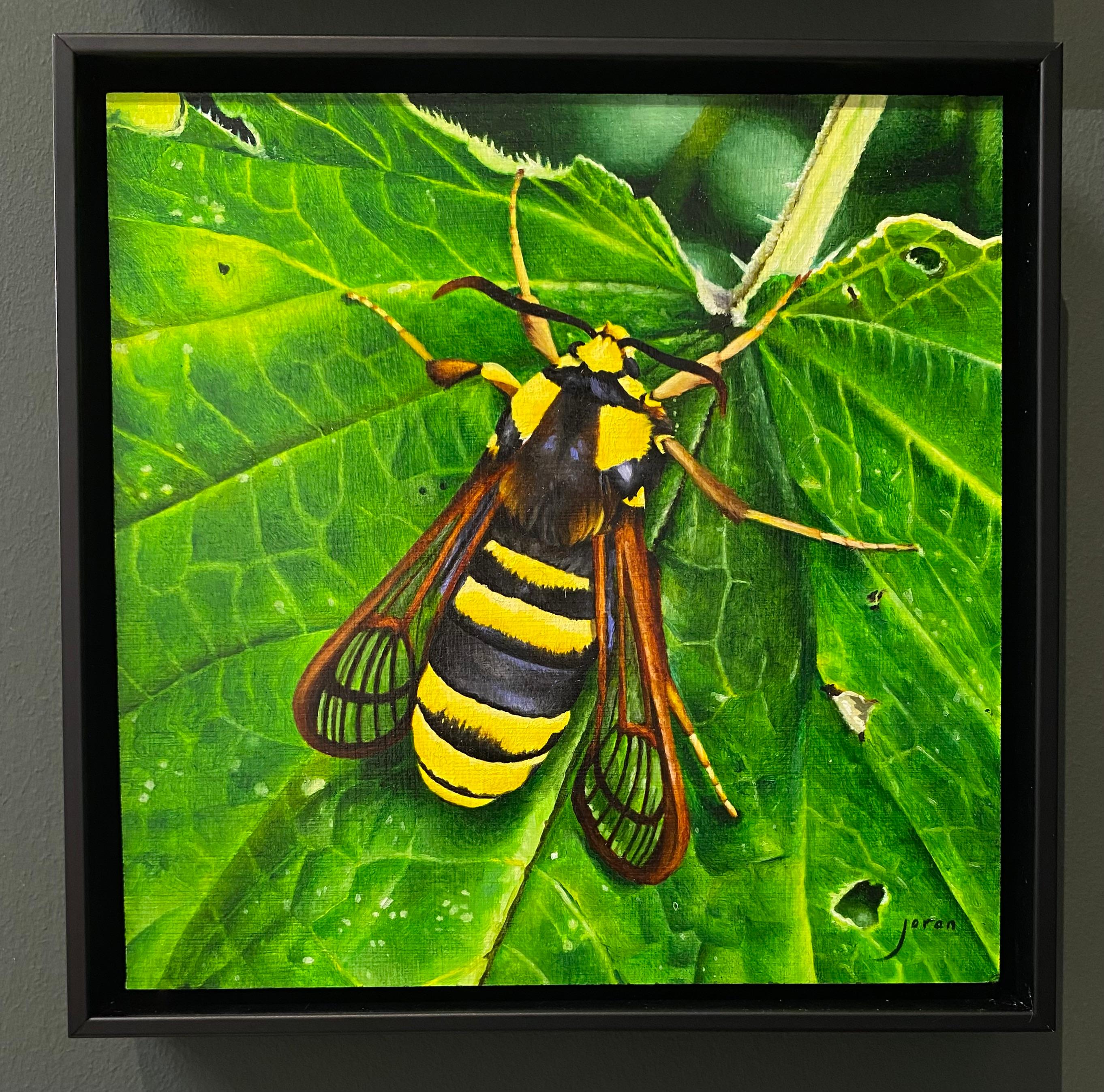 Polilla Avispón - Joran van der Haar, Pintura al óleo contemporánea del siglo XXI en venta 1