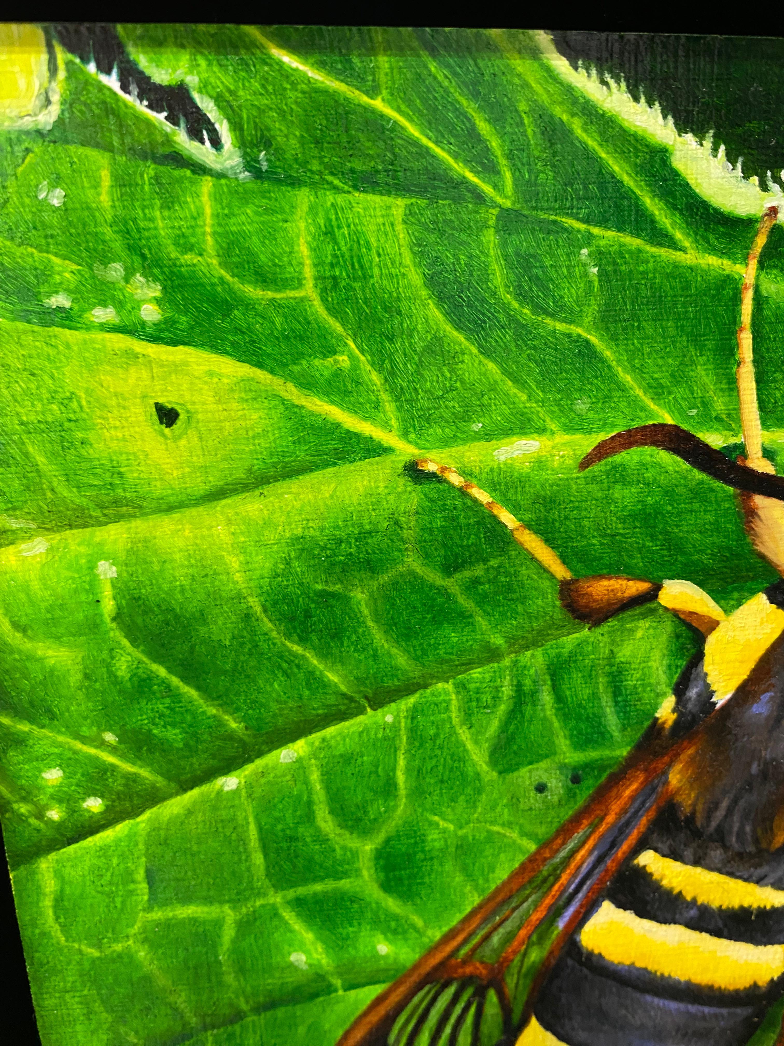 Polilla Avispón - Joran van der Haar, Pintura al óleo contemporánea del siglo XXI en venta 3