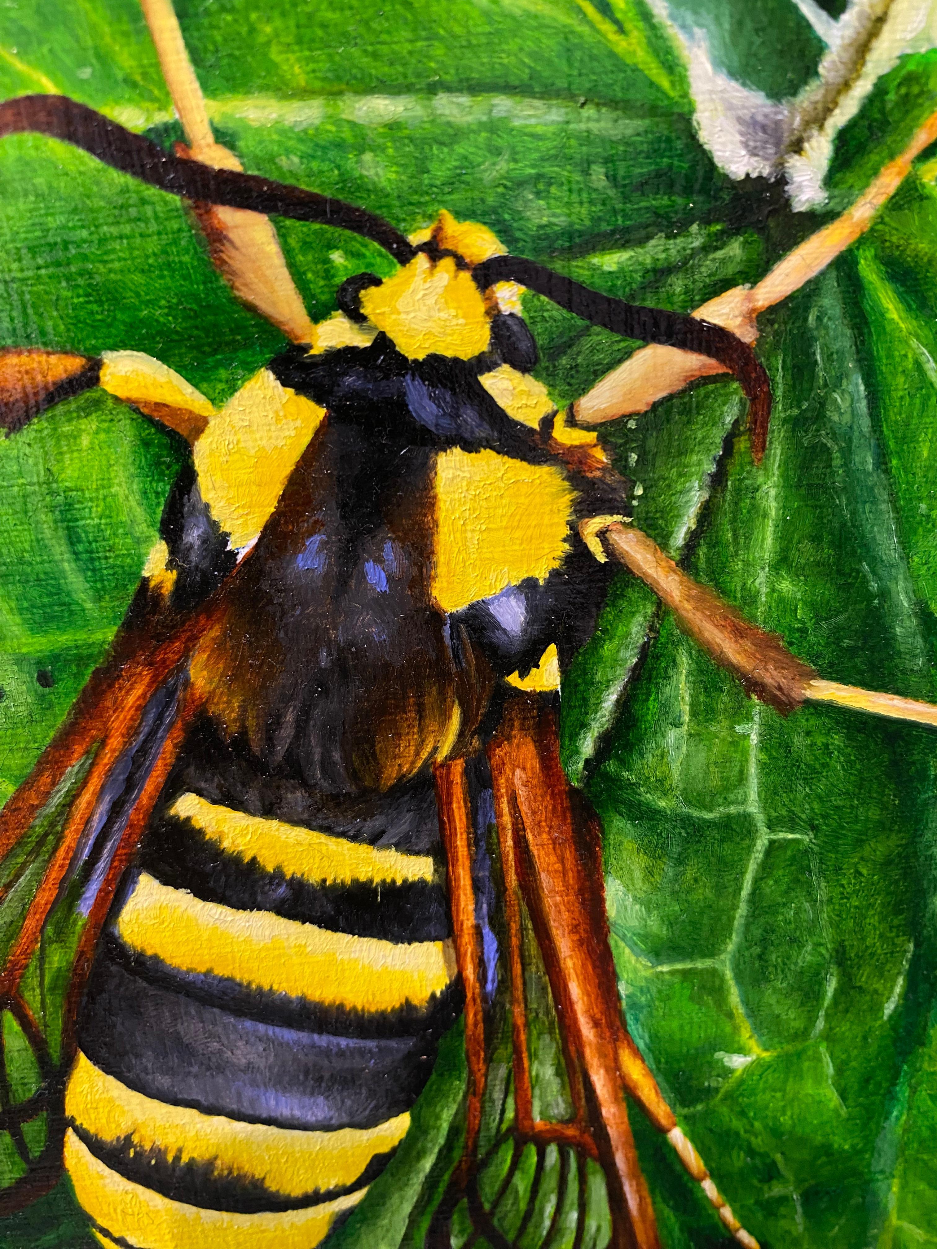 Polilla Avispón - Joran van der Haar, Pintura al óleo contemporánea del siglo XXI en venta 4