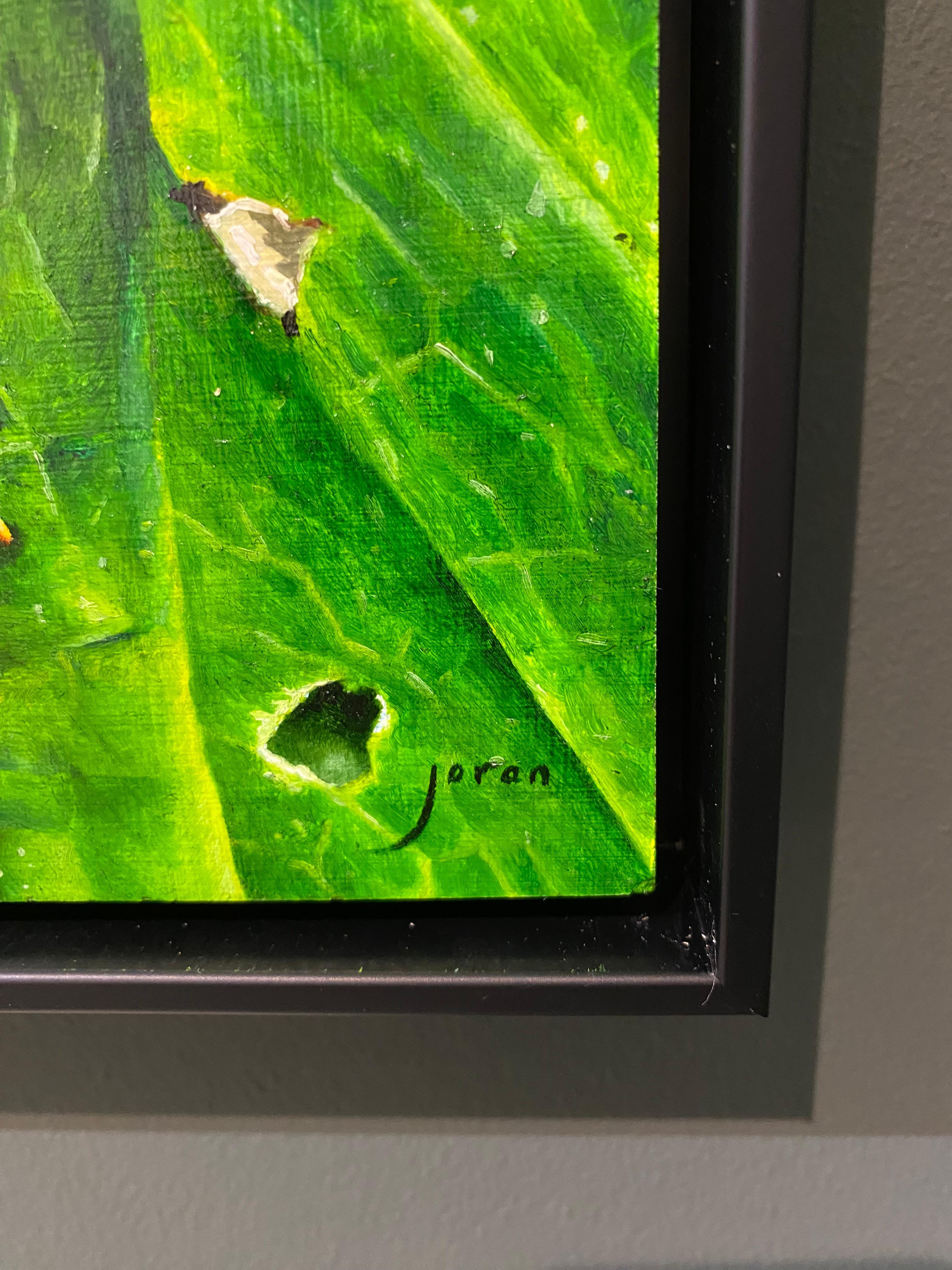 Polilla Avispón - Joran van der Haar, Pintura al óleo contemporánea del siglo XXI en venta 6