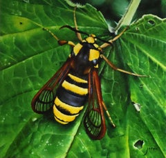 Polilla Avispón - Joran van der Haar, Pintura al óleo contemporánea del siglo XXI