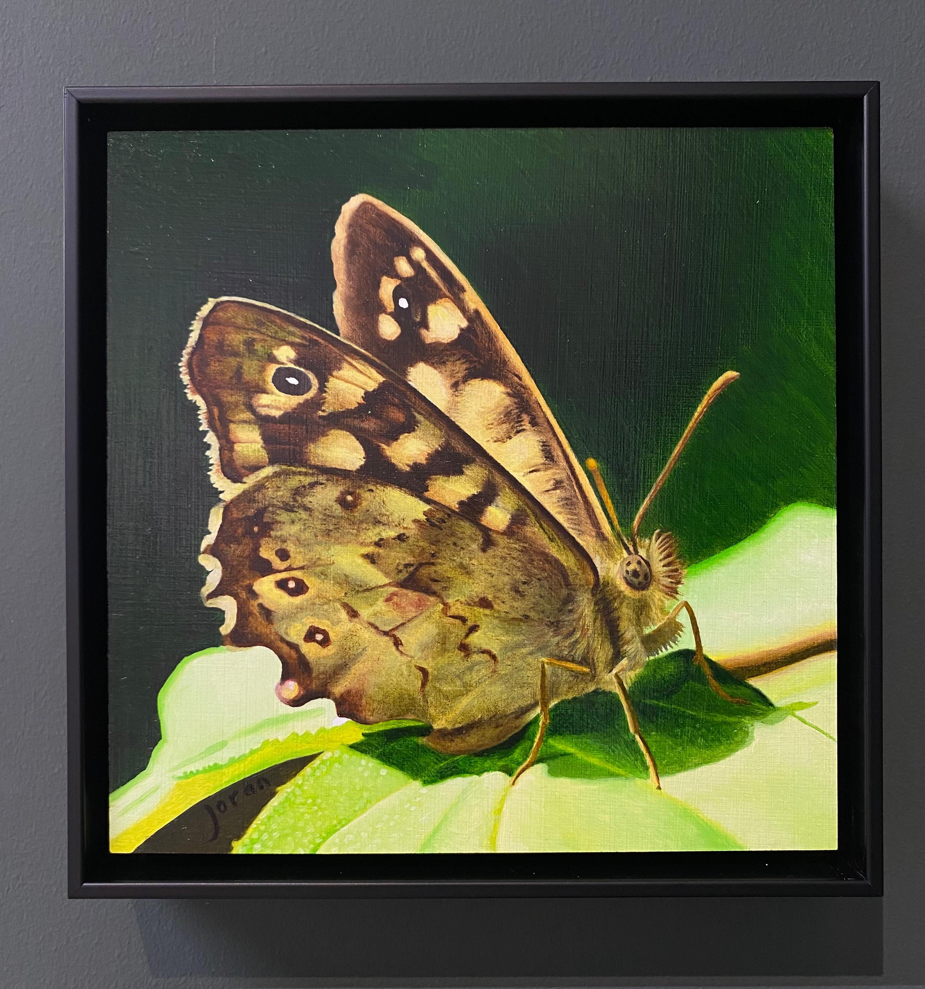 Mariposa de madera moteada - Joran van der Haar, Pintura contemporánea del siglo XXI en venta 1