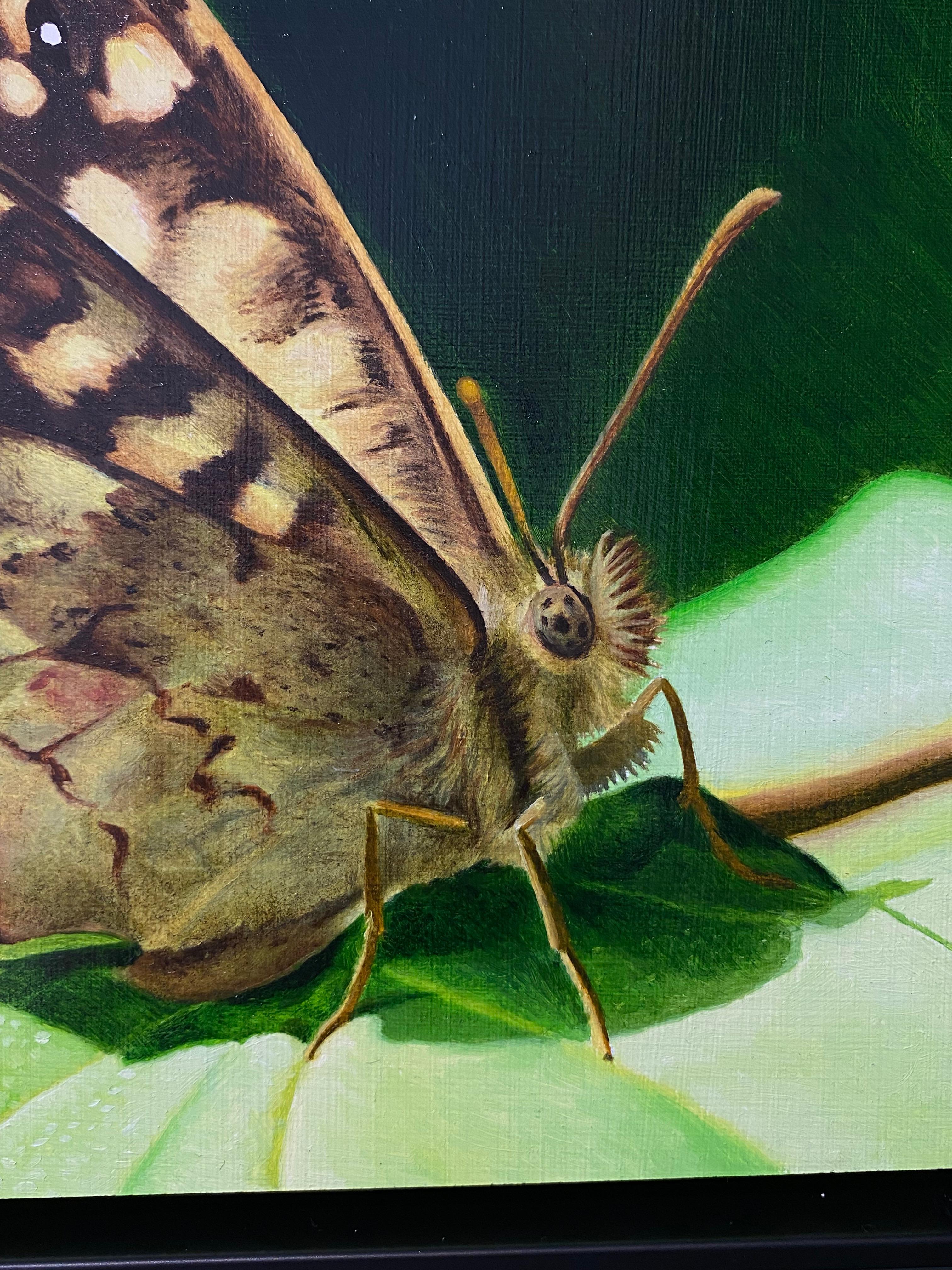 Mariposa de madera moteada - Joran van der Haar, Pintura contemporánea del siglo XXI en venta 2