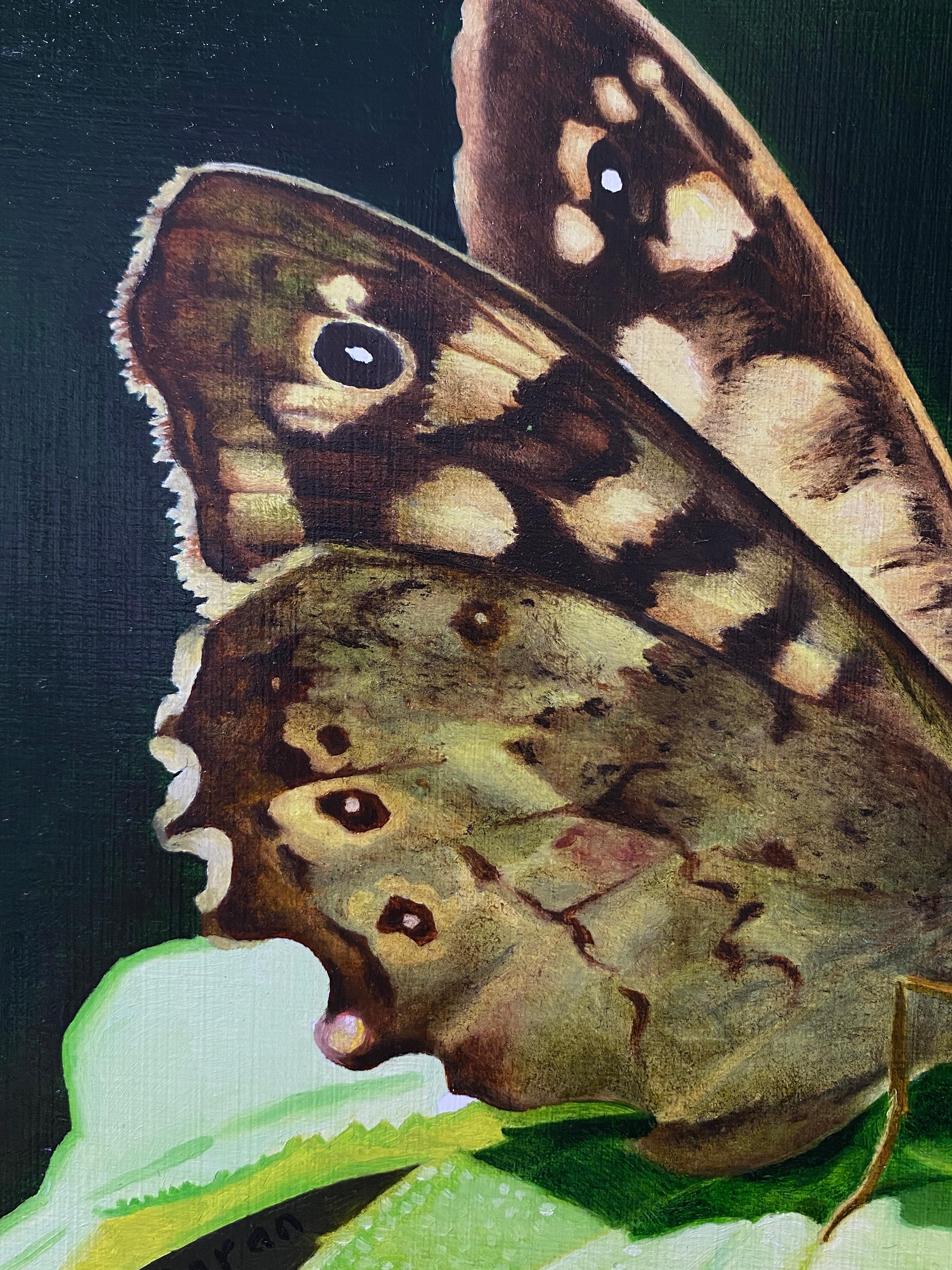 Mariposa de madera moteada - Joran van der Haar, Pintura contemporánea del siglo XXI en venta 3