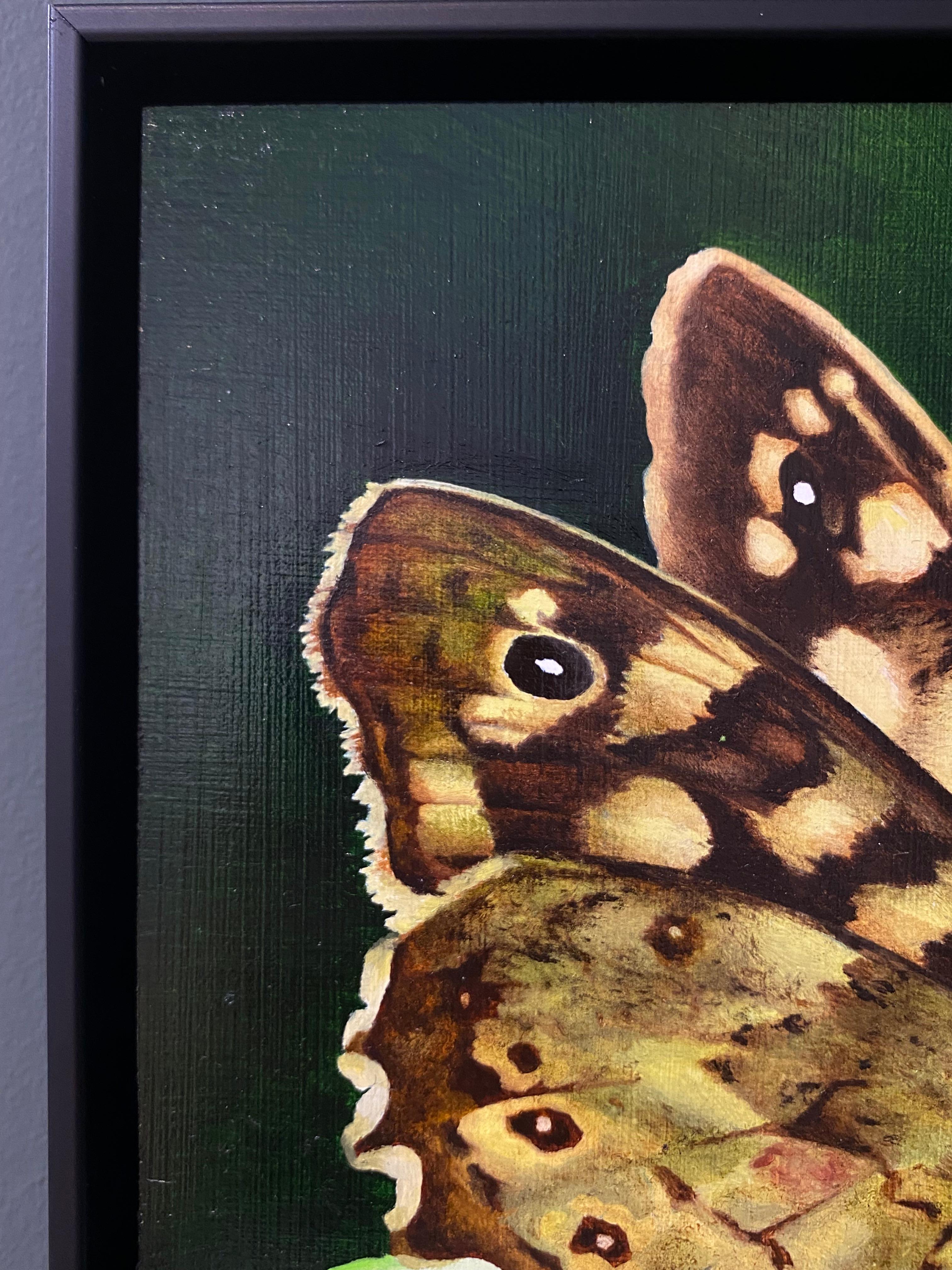 Mariposa de madera moteada - Joran van der Haar, Pintura contemporánea del siglo XXI en venta 4