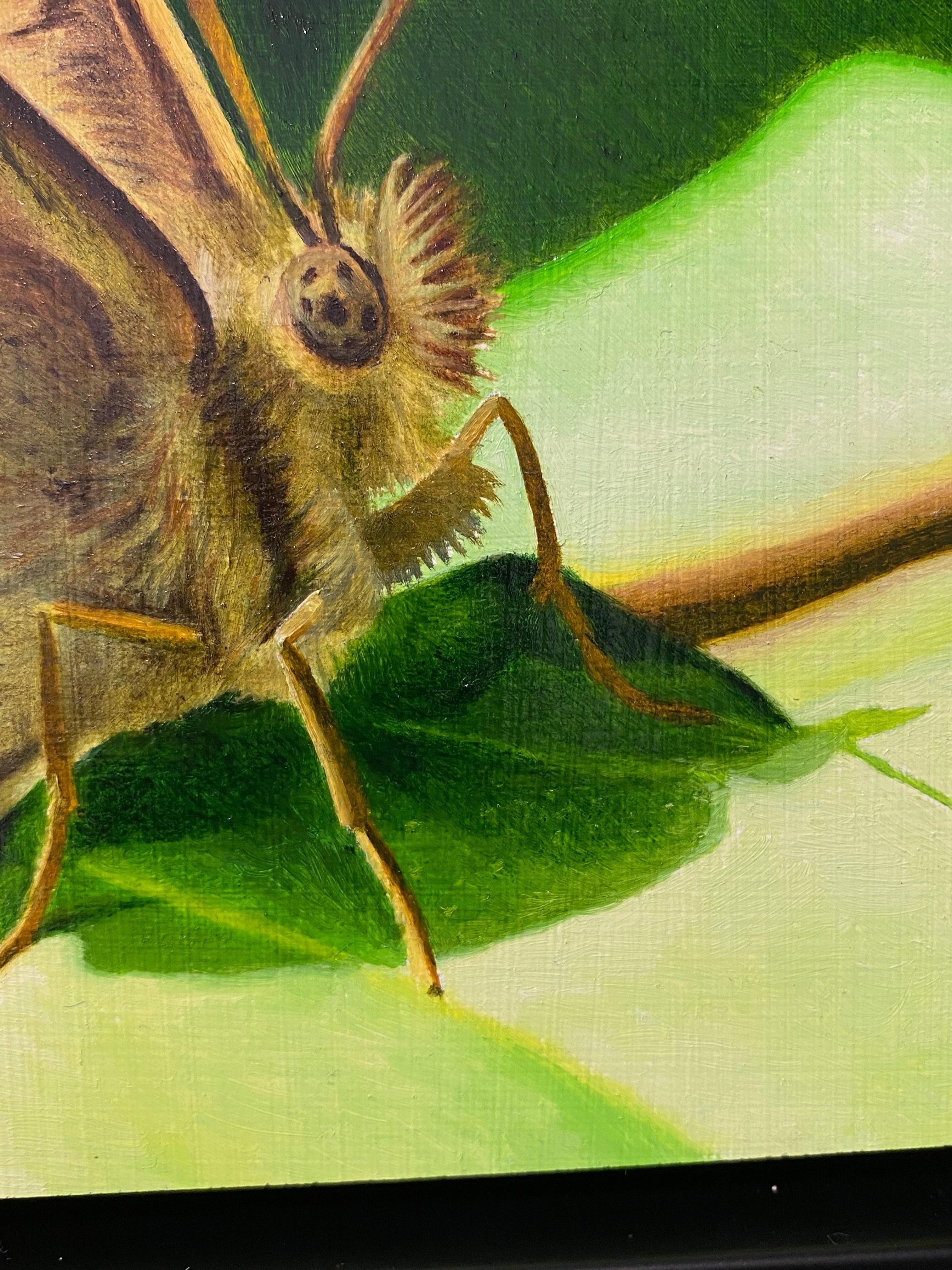 Mariposa de madera moteada - Joran van der Haar, Pintura contemporánea del siglo XXI en venta 5