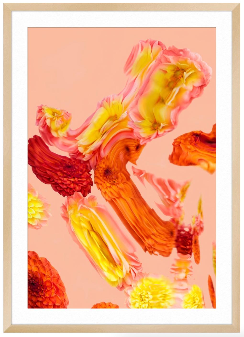 Fall Rising 1, collection automne en vente 3