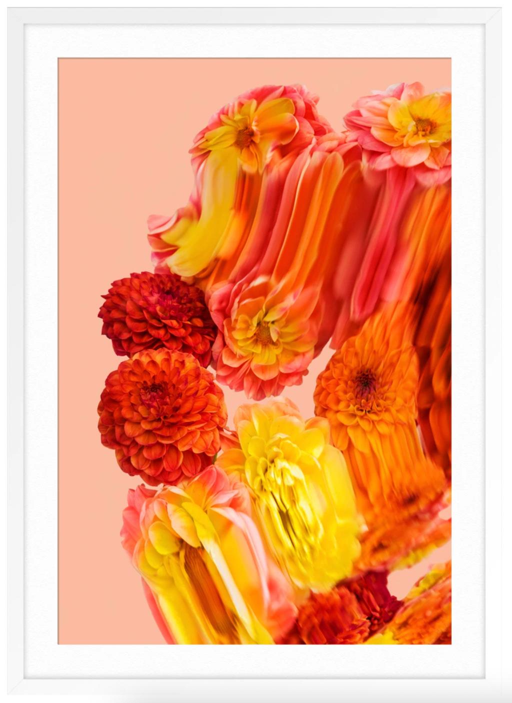 Fall Rising 3 - Orange Abstract Print by Jordan Tiberio