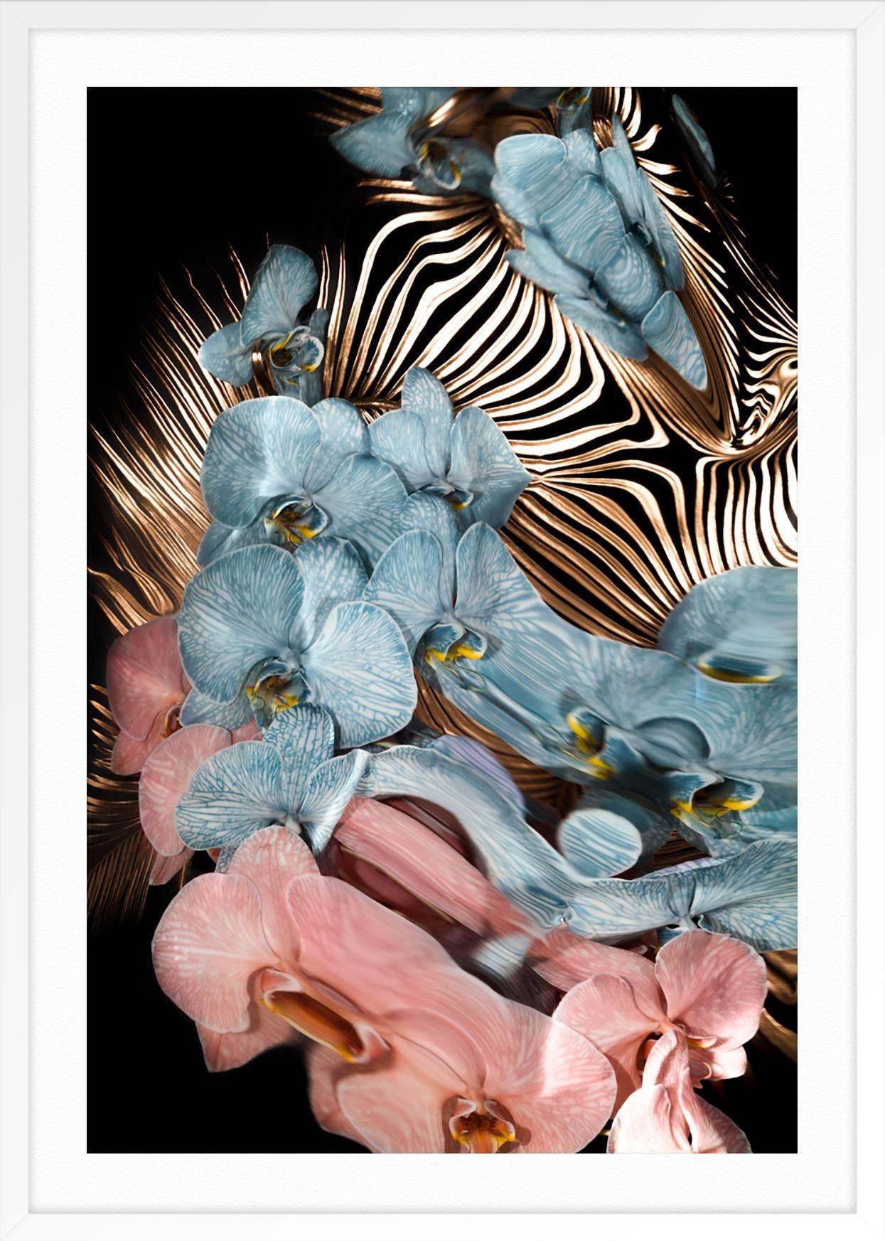 Miroirs à liquide Tropics 1 - Noir Abstract Print par Jordan Tiberio