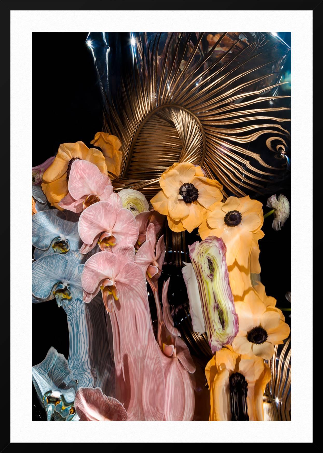 monamour arch mirror