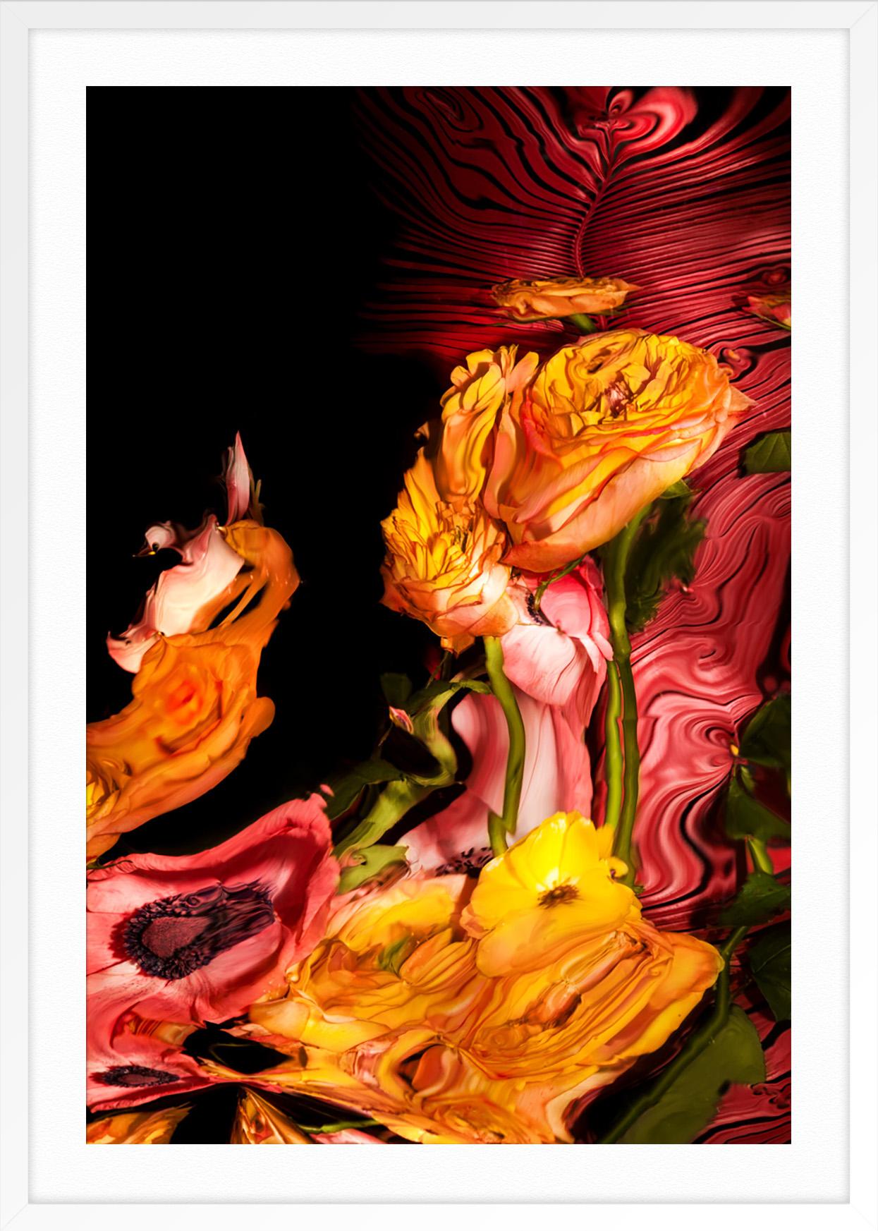 Sunbursts 3 - Black Abstract Print by Jordan Tiberio