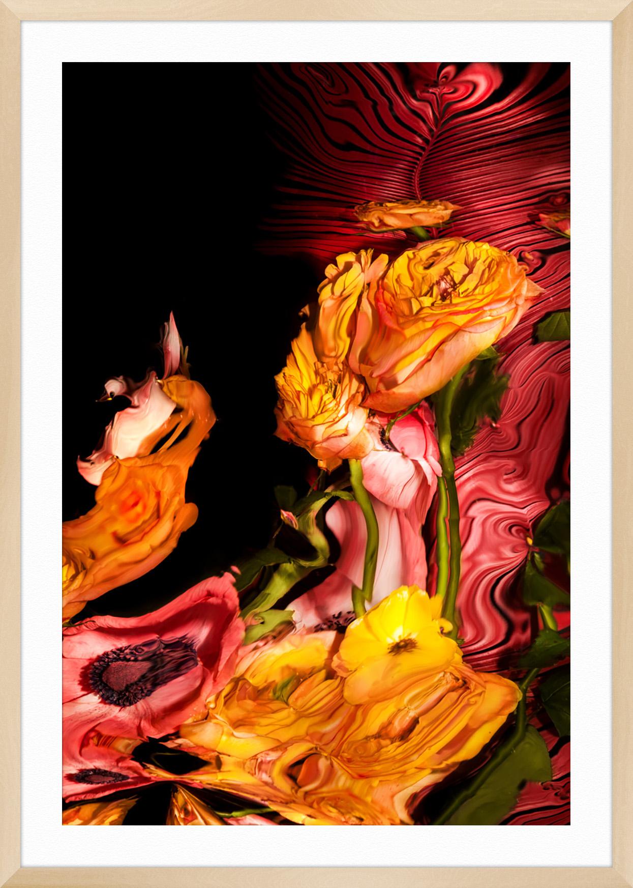 Sunbursts 3 For Sale 1