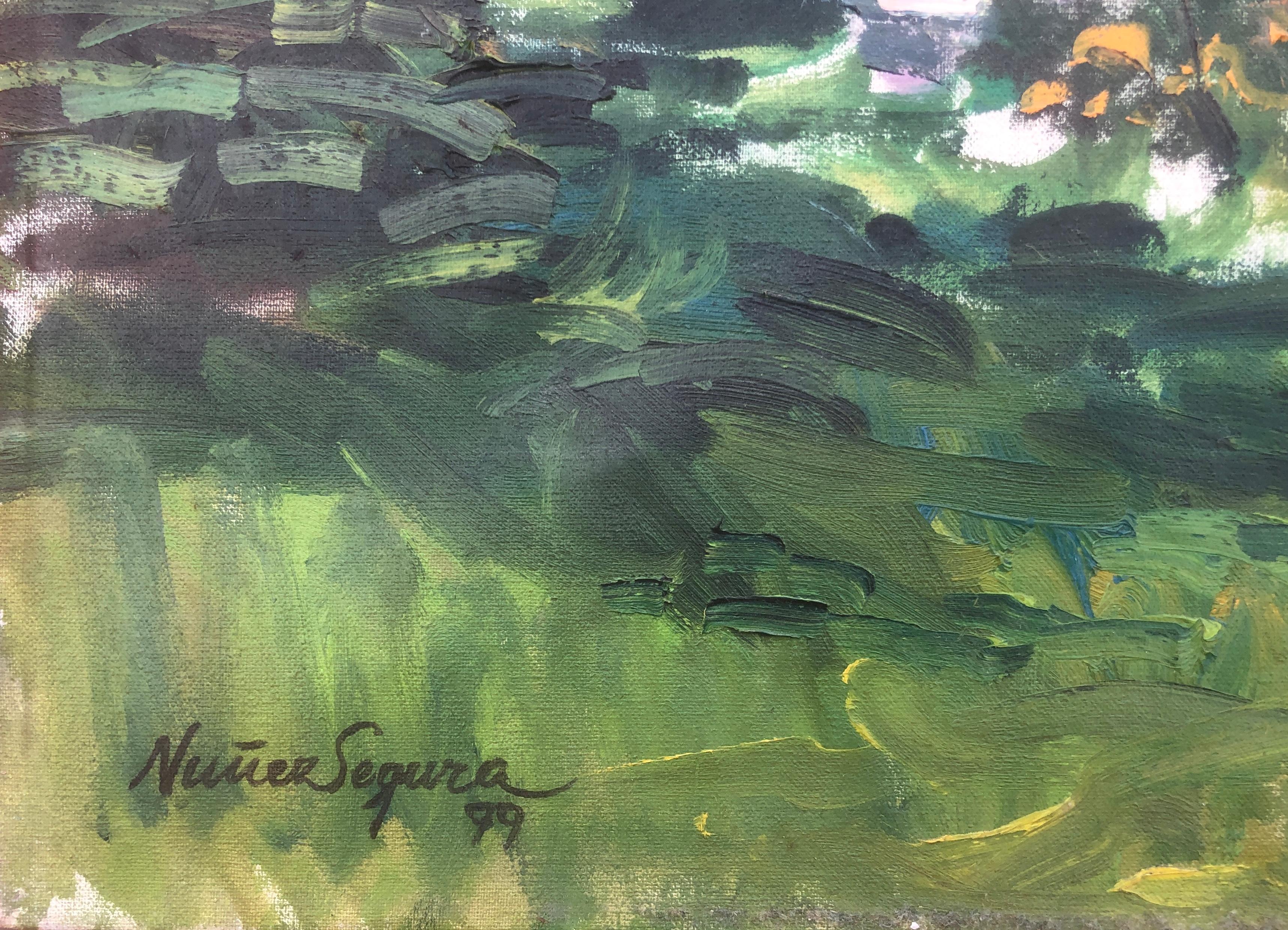 Paesaggio con fiume olio su tela Spagna - Painting di Jordi Nuñez Segura
