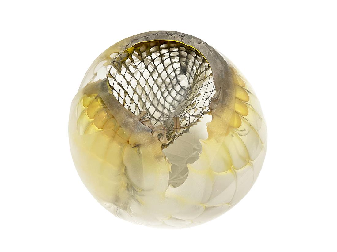 Jörg F. Zimmermann German, Blown glass sculpture.

Jörg Zimmermann (1940 -) is a German glass artist of organic blown glass sculptures. A Blown glass sculpture with wire mesh interior. This Shell shaped sculpture made of glassblowing and