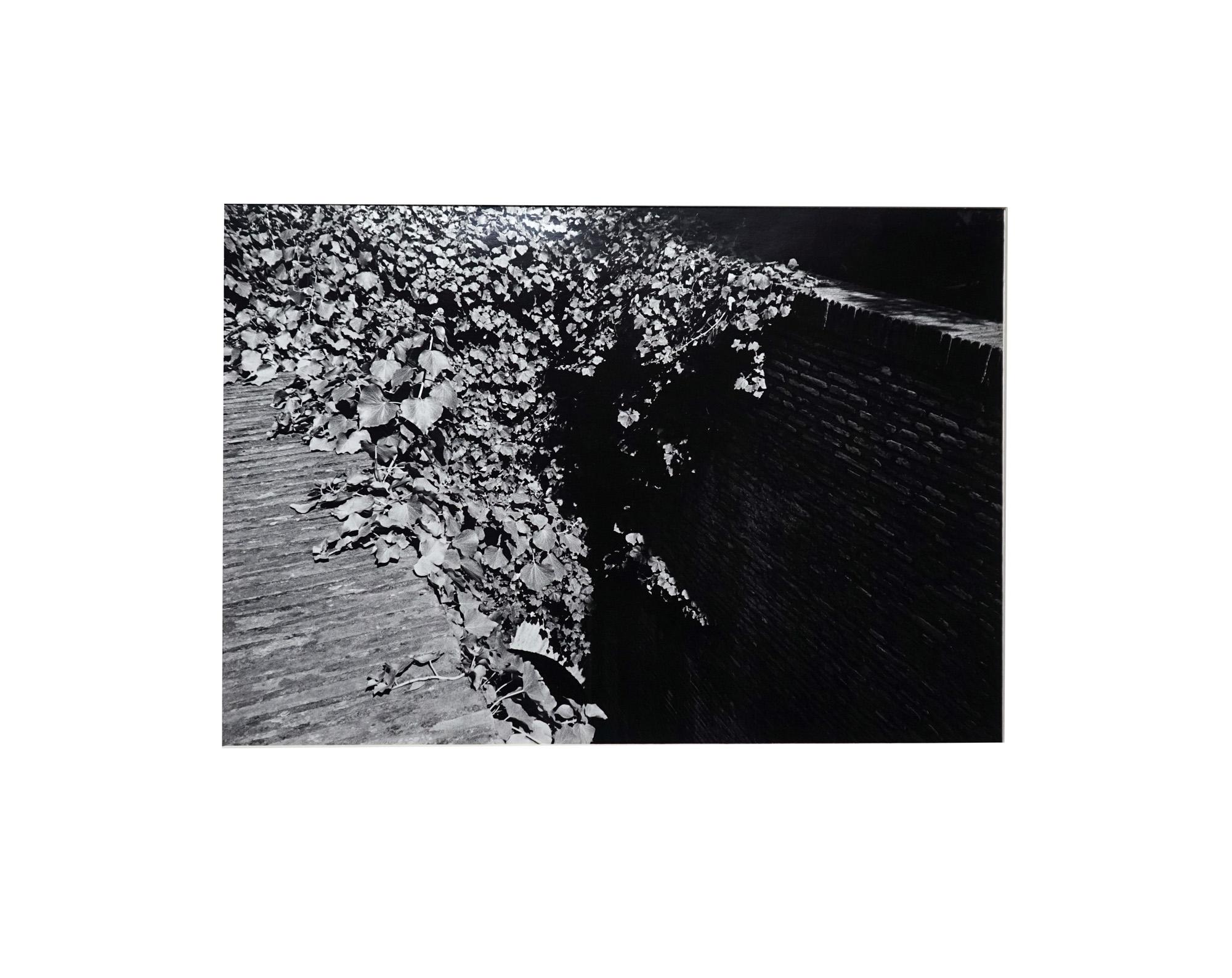 Garden 1 - Coffret Prestige # 5 - 1979, Minimalist Black and White Photography For Sale 3