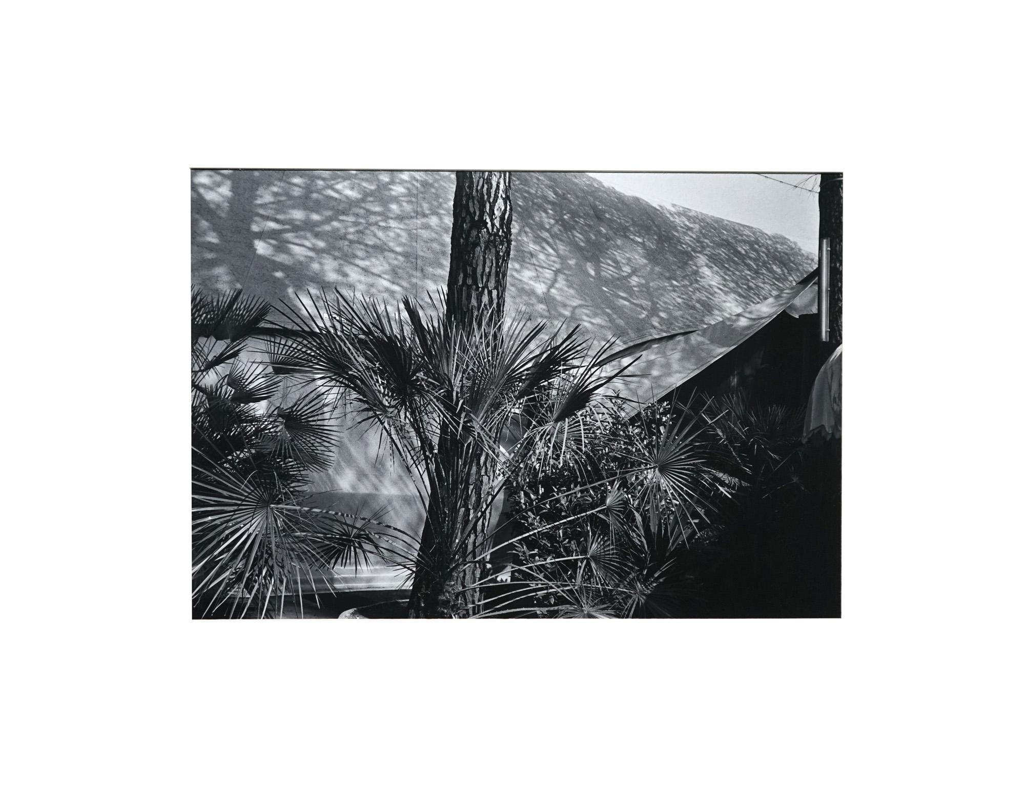 Garden 1 - Coffret Prestige # 5 - 1979, Minimalist Black and White Photography For Sale 7