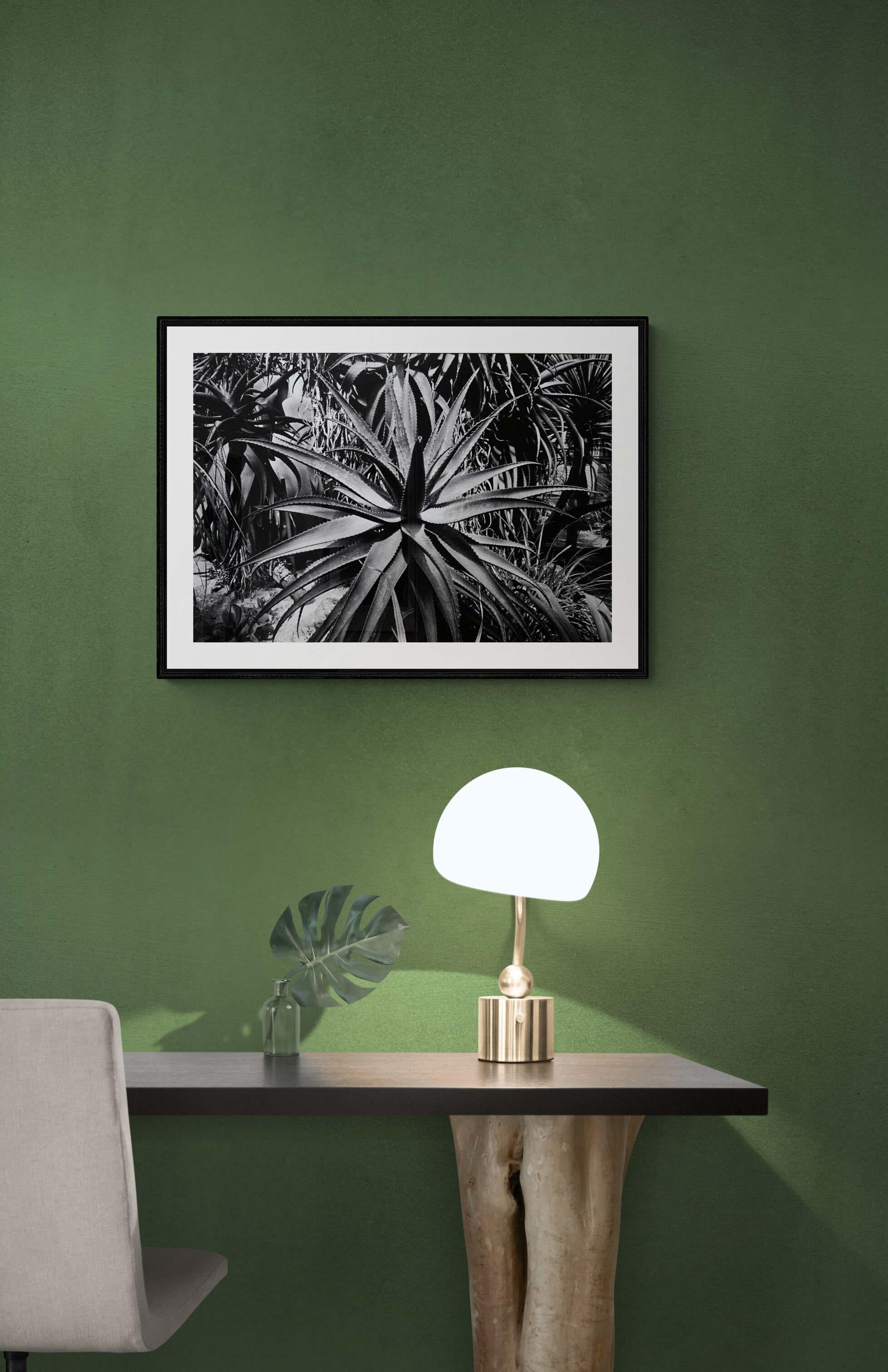 Artwork sold in perfect condition - Off-Print # 2 (Roma 1980) from the portfolio Garden 2 (Coffret Prestige # 9)
This is a Minimalist framing & presentation of the artwork :
The Fine Art print on Baryta paper is mounted on a 2mm dibond plate and