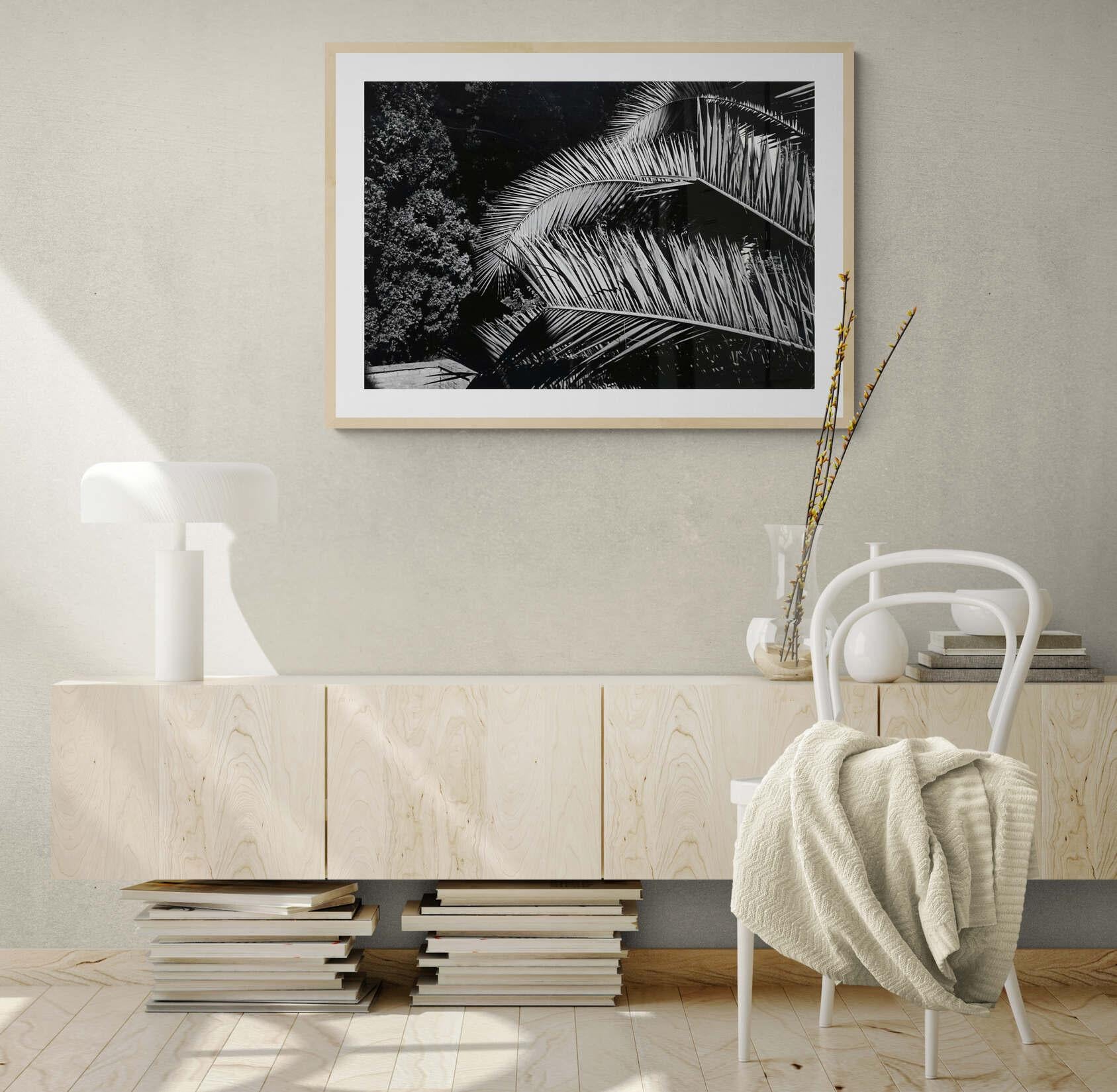 Garten – Off-Print # 3 – Roma 1983 – Minimalistische Schwarz-Weiß-Fotografie – Photograph von Jörg Krichbaum