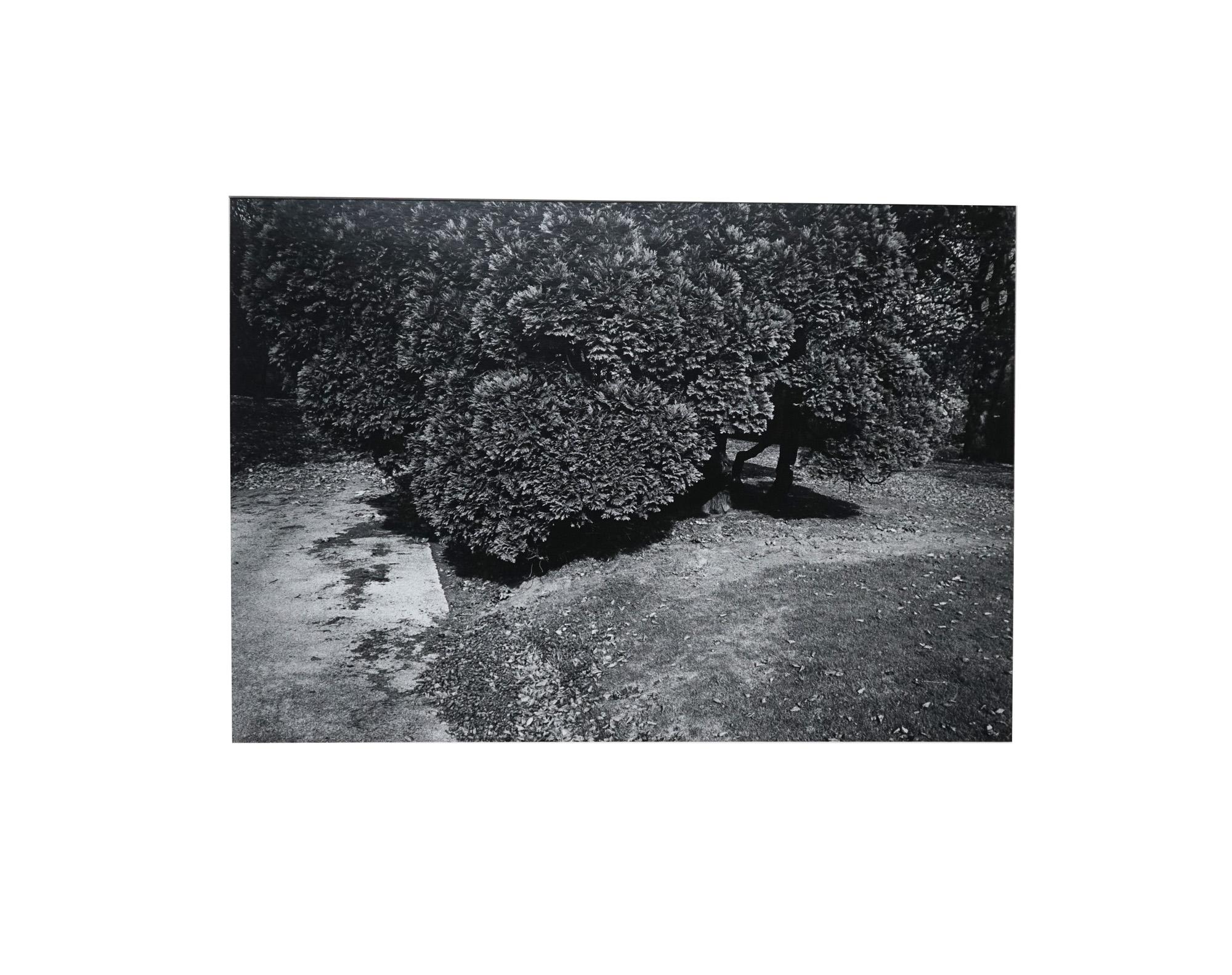 Gardens (2) - Coffret Prestige # 9 , 1979 - Minimalist Black & White Photography For Sale 8