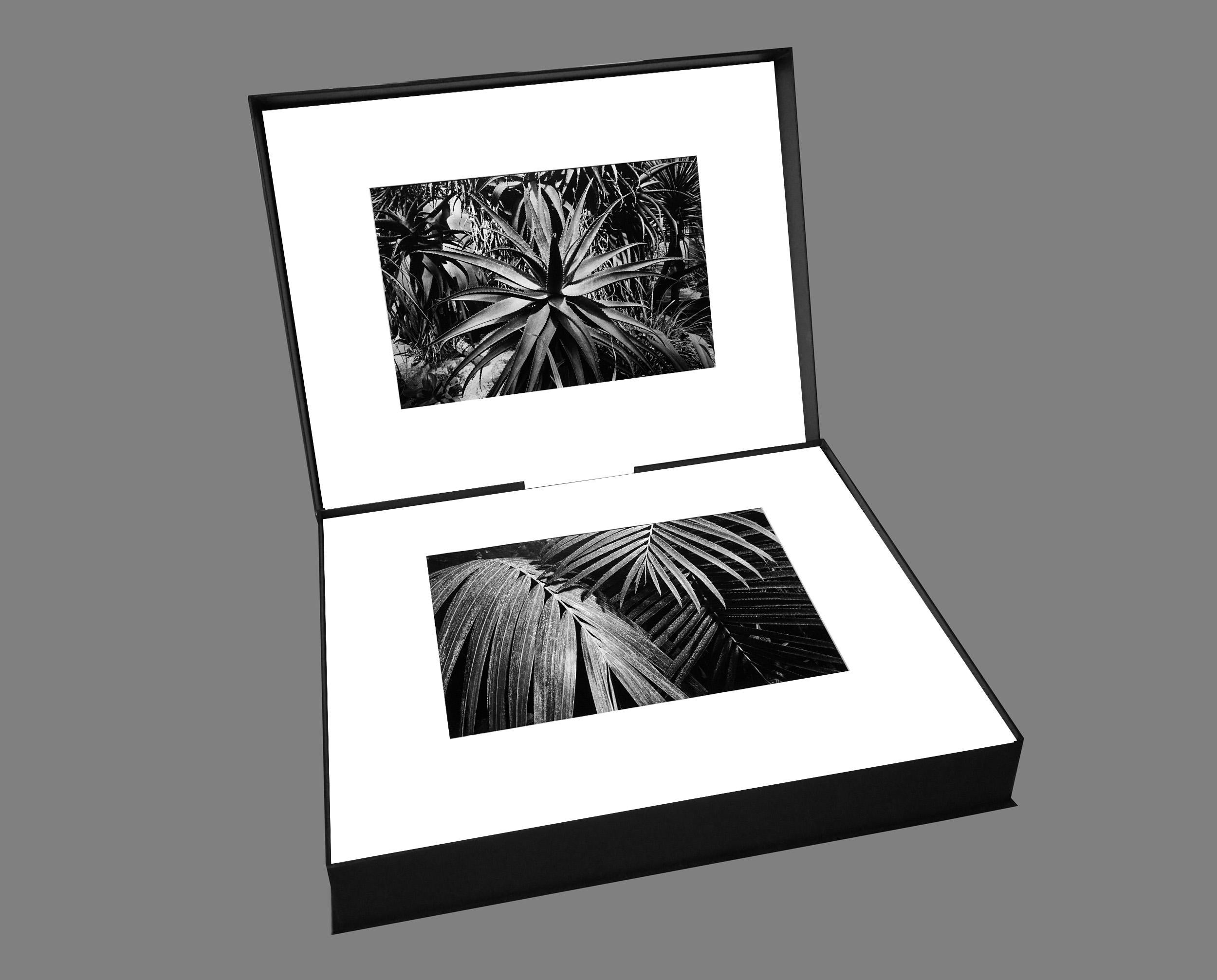 Gartene (2) - Coffret Prestige # 9 , 1979 - Minimalistische Schwarz-Weiß-Fotografie im Angebot 11