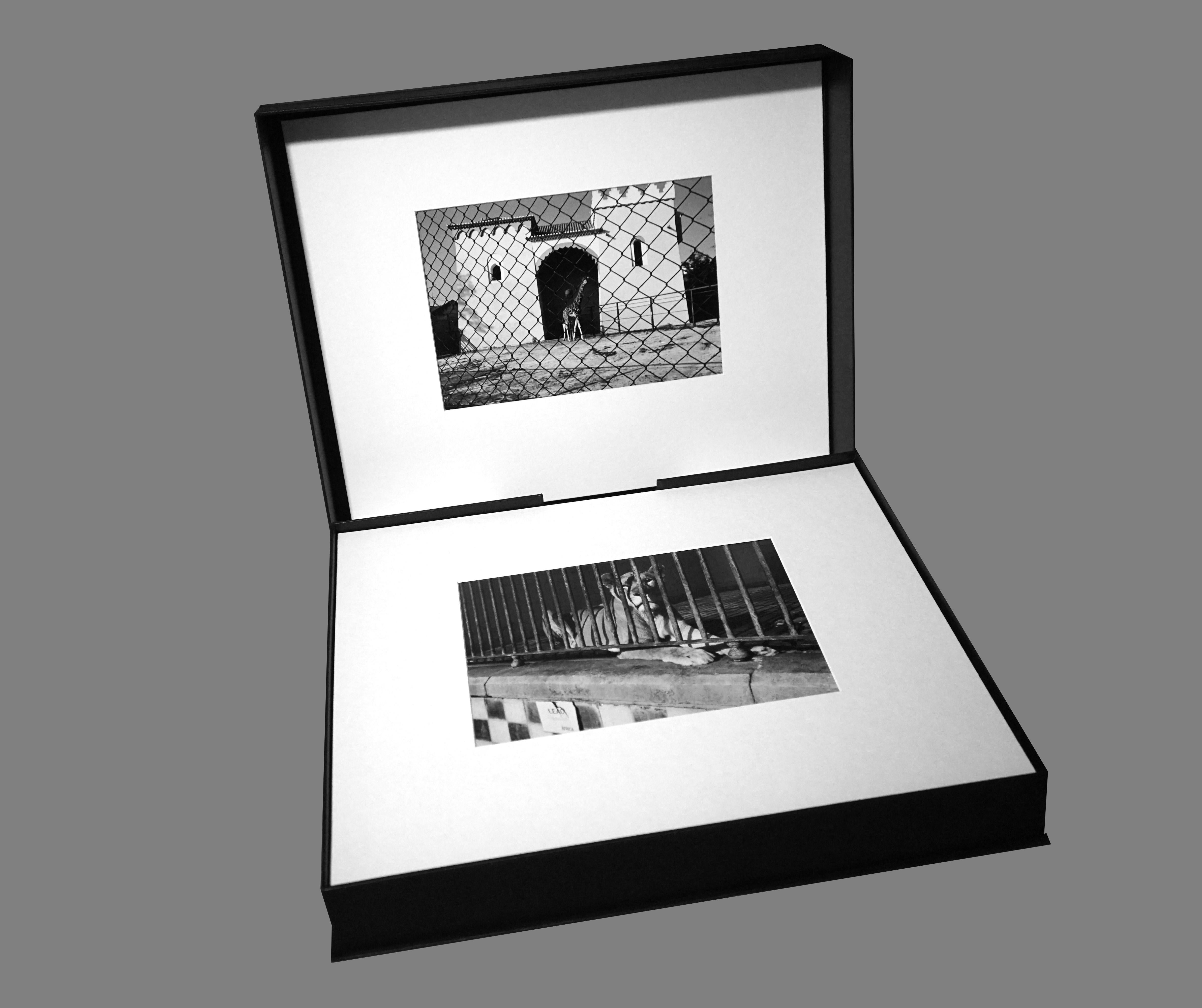 Parc Zoologique - Coffret Prestige # 3 - 1980, Minimalist Black and White Photog en vente 14
